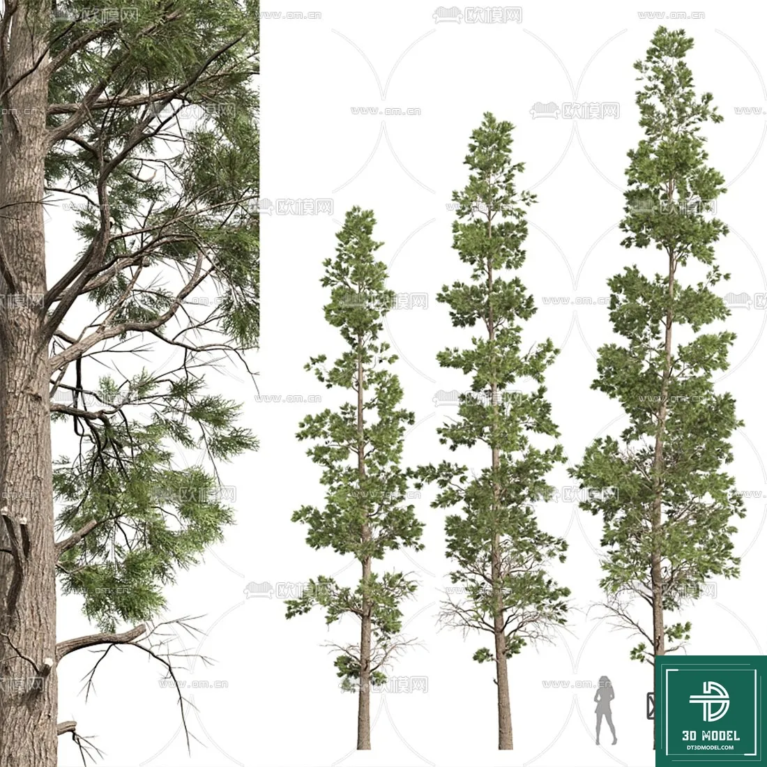 Tree 3D Models – Exterior and Architecture 3DS Max – 159