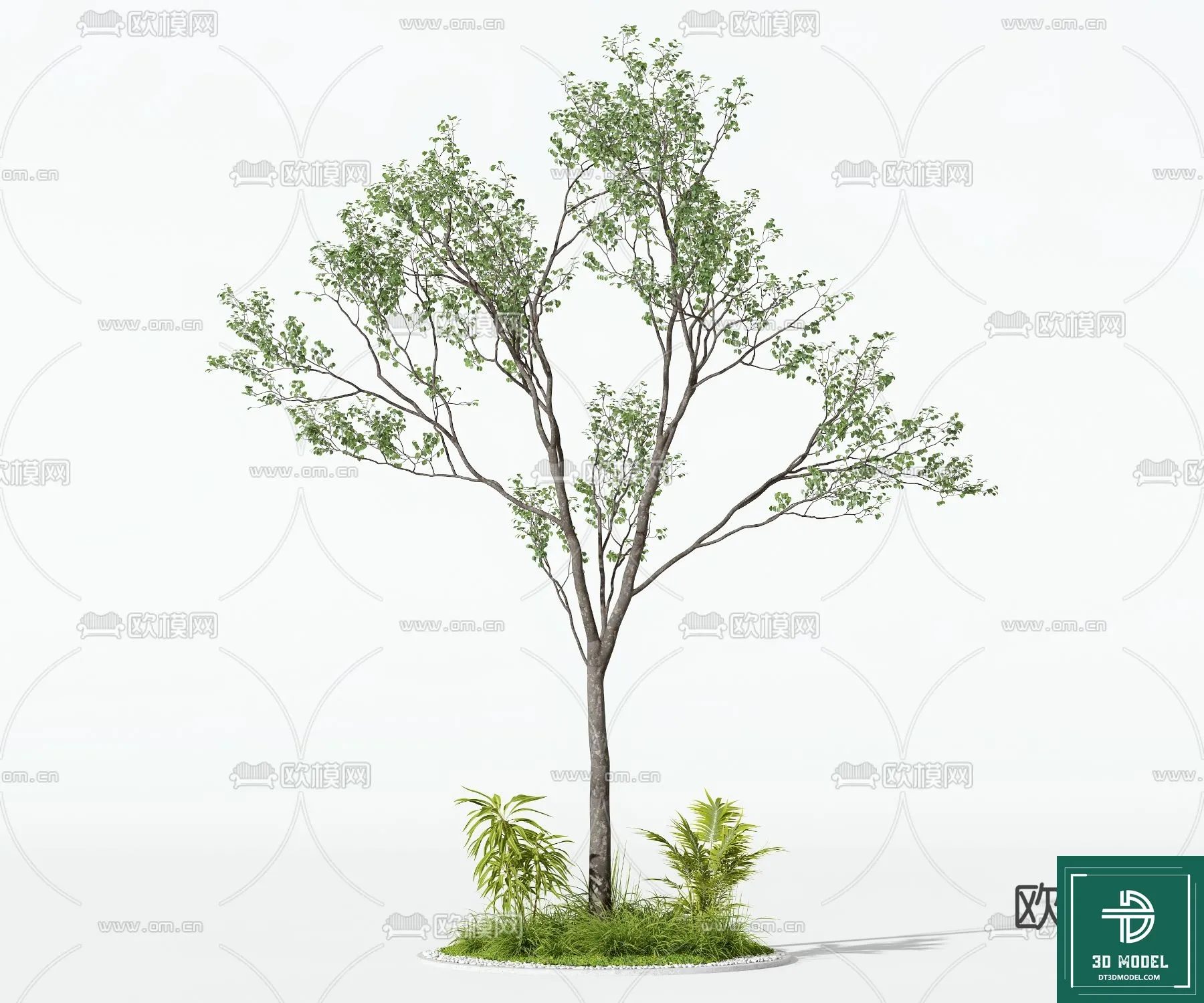 Tree 3D Models – Exterior and Architecture 3DS Max – 163