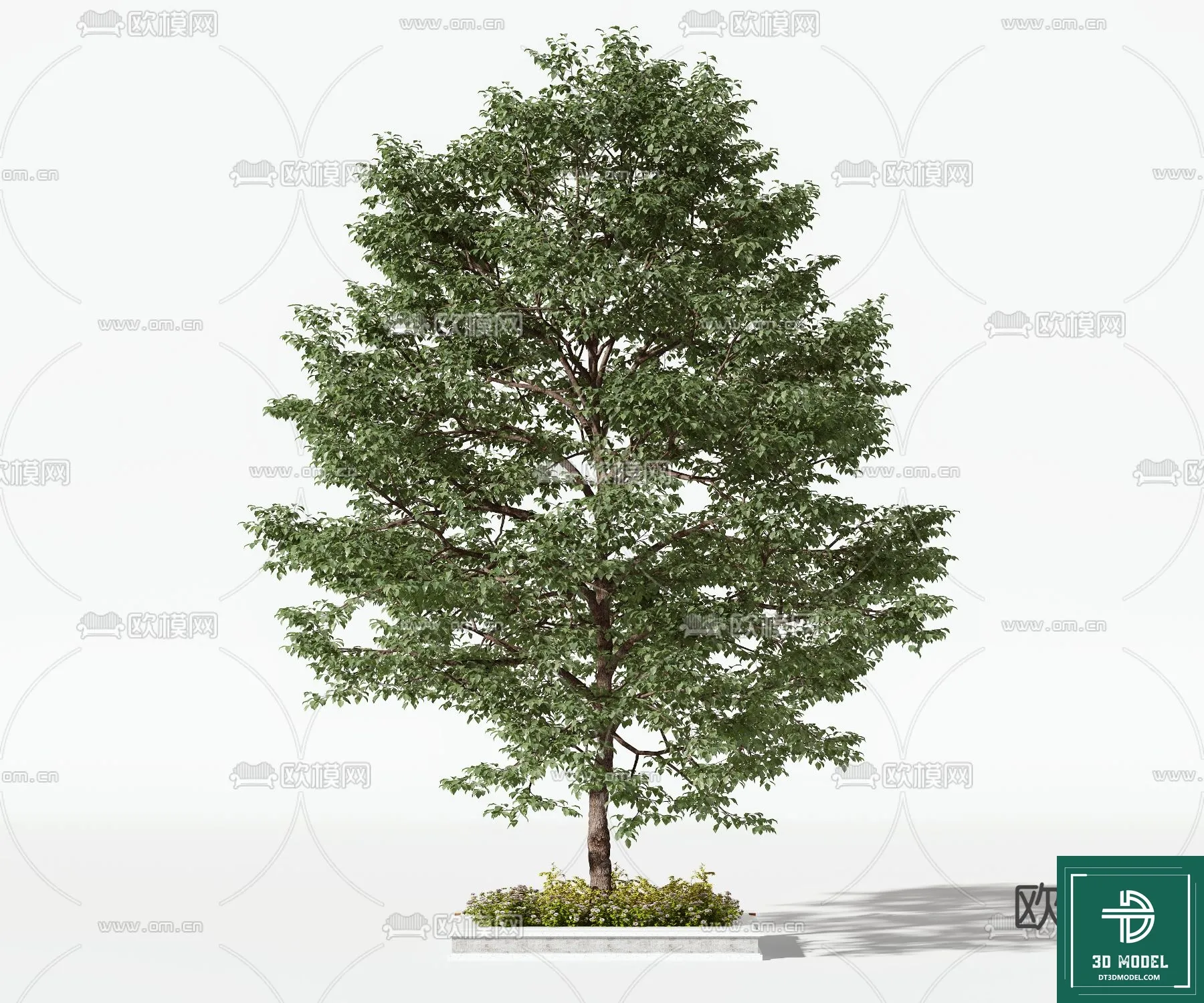 Tree 3D Models – Exterior and Architecture 3DS Max – 172