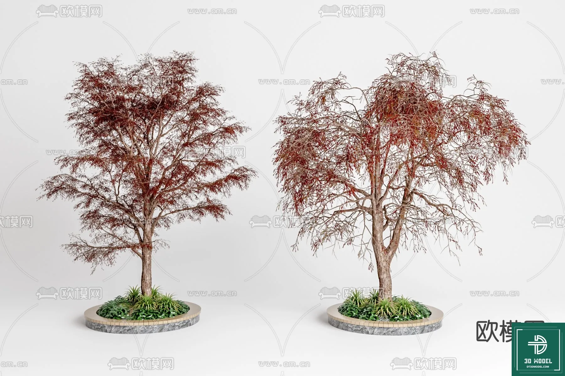 Tree 3D Models – Exterior and Architecture 3DS Max – 175