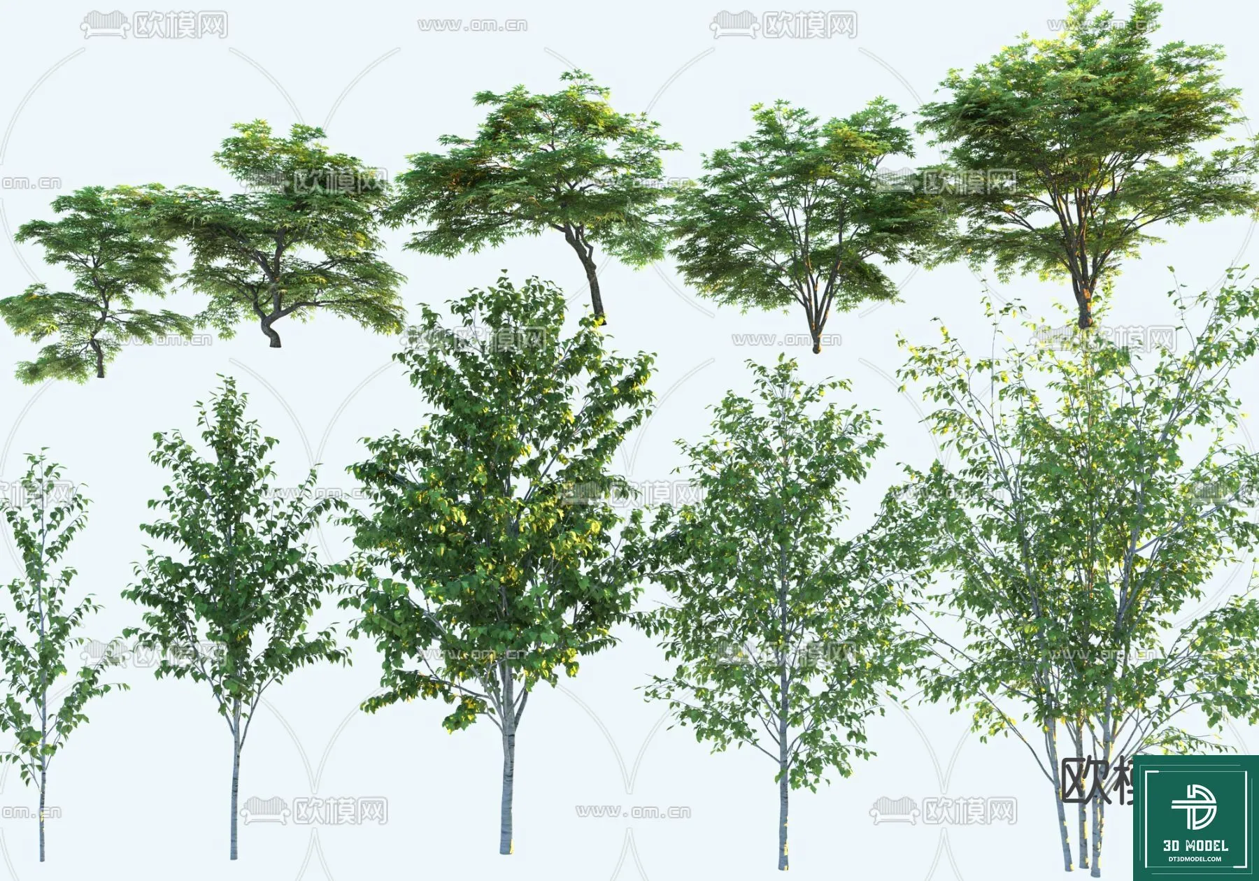 Tree 3D Models – Exterior and Architecture 3DS Max – 185