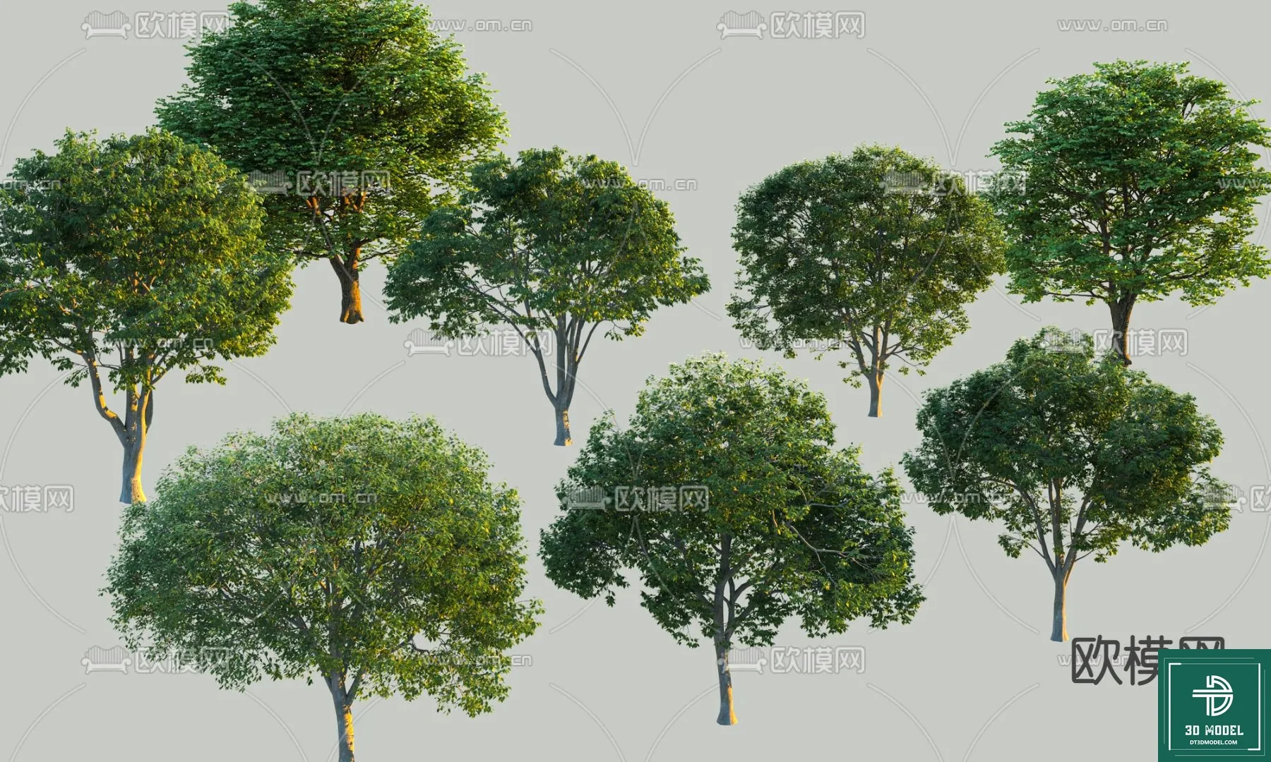 Tree 3D Models – Exterior and Architecture 3DS Max – 196