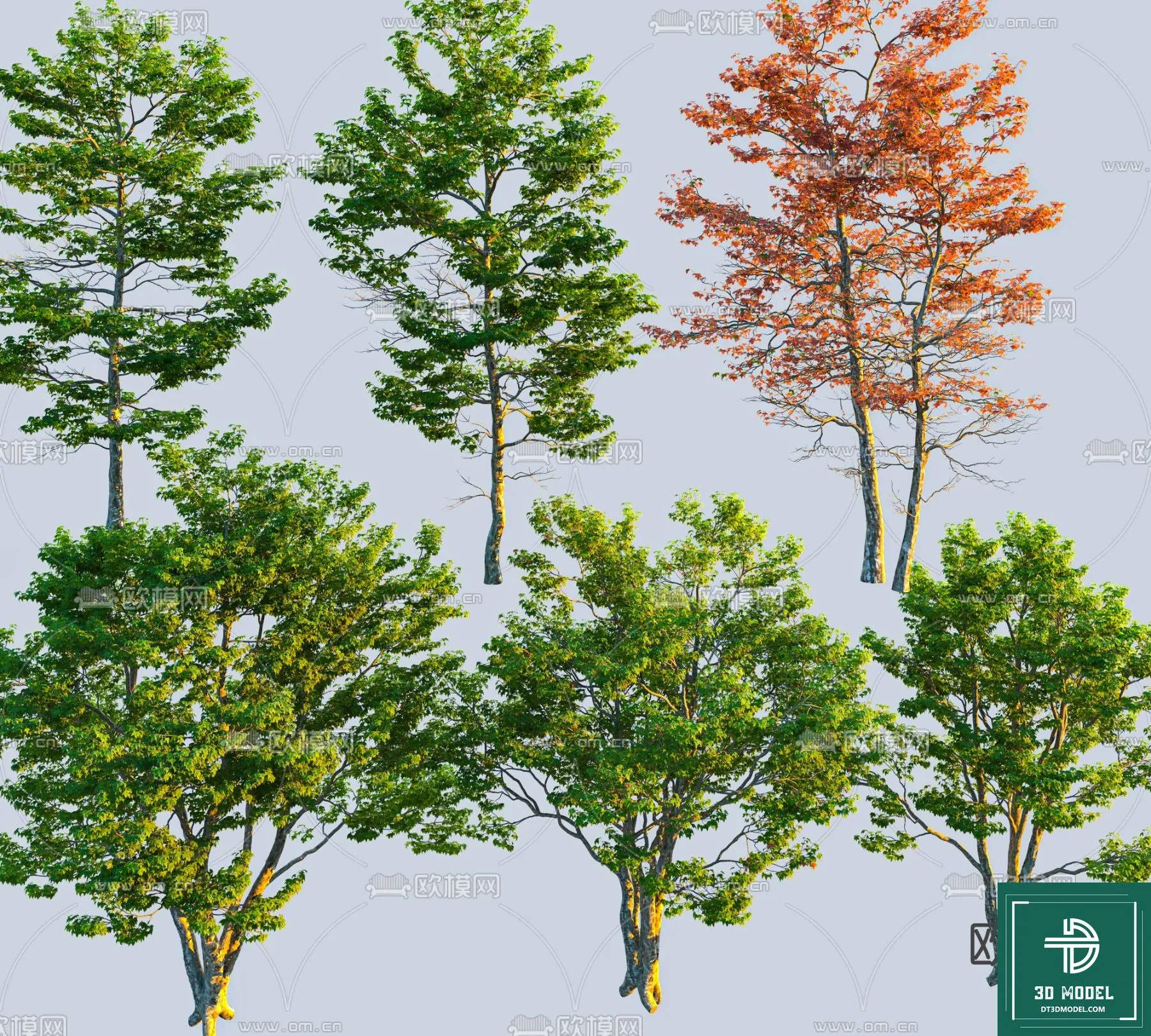 Tree 3D Models – Exterior and Architecture 3DS Max – 199