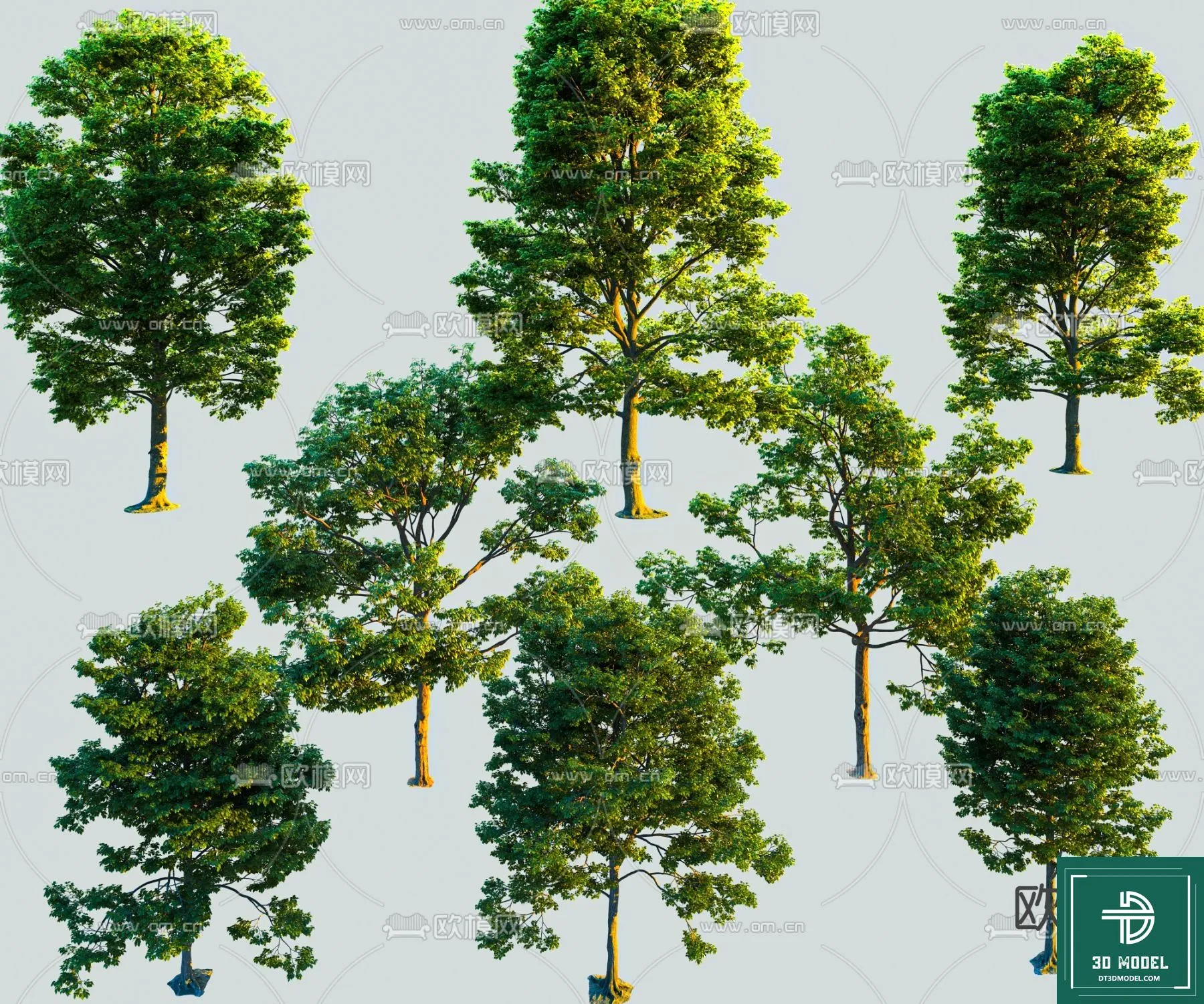 Tree 3D Models – Exterior and Architecture 3DS Max – 202