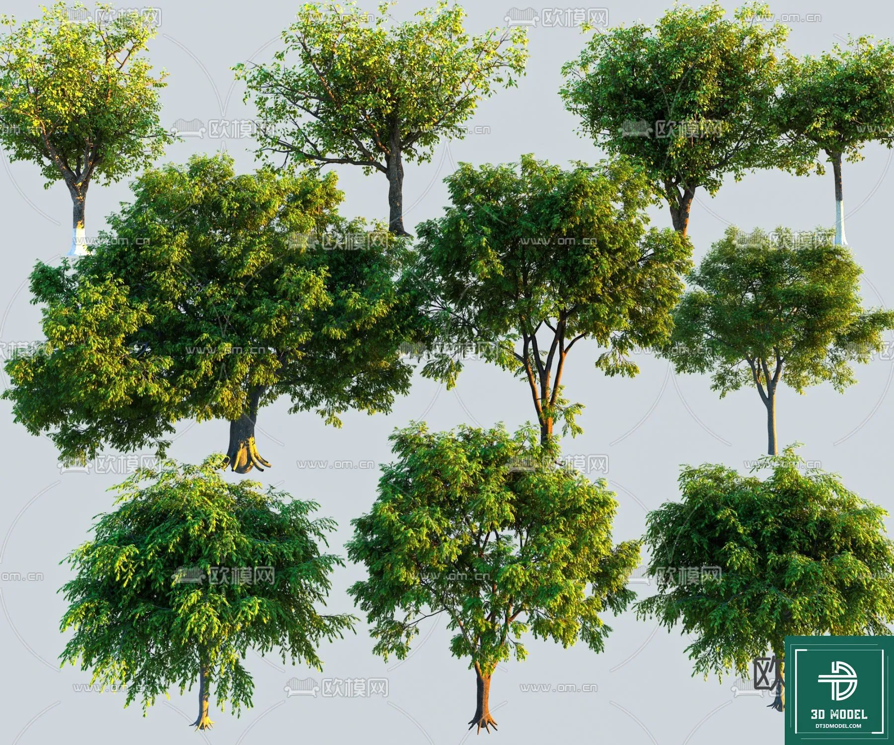 Tree 3D Models – Exterior and Architecture 3DS Max – 205