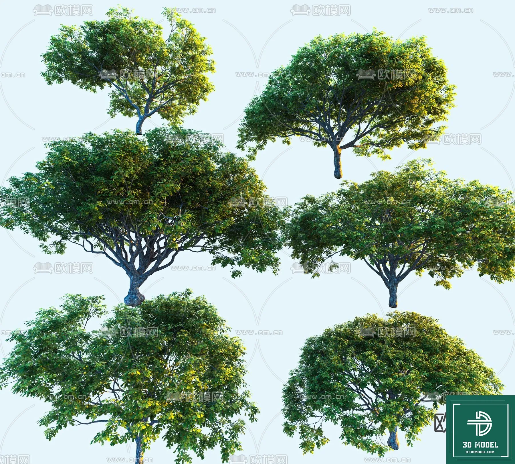 Tree 3D Models – Exterior and Architecture 3DS Max – 213