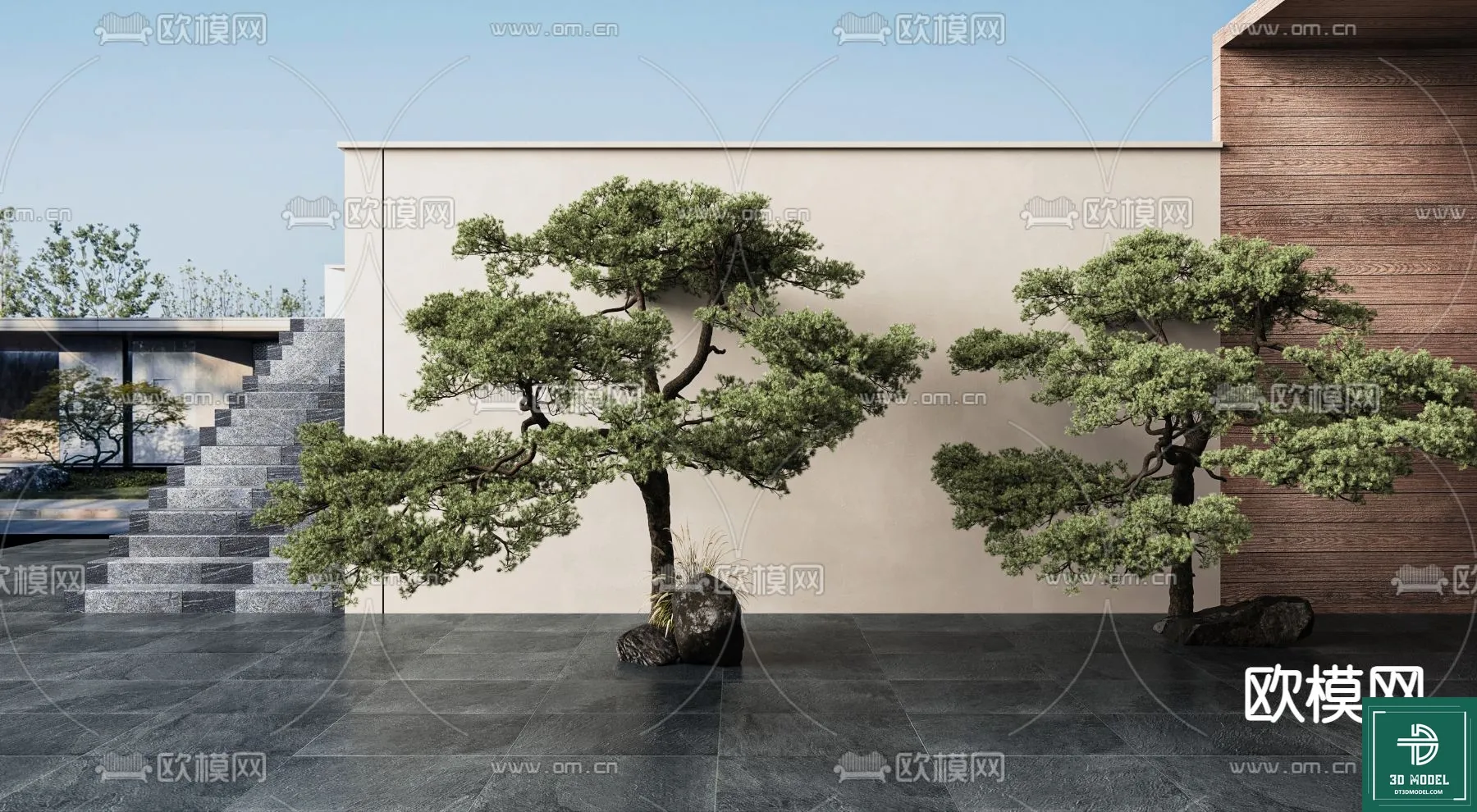 Tree 3D Models – Exterior and Architecture 3DS Max – 215