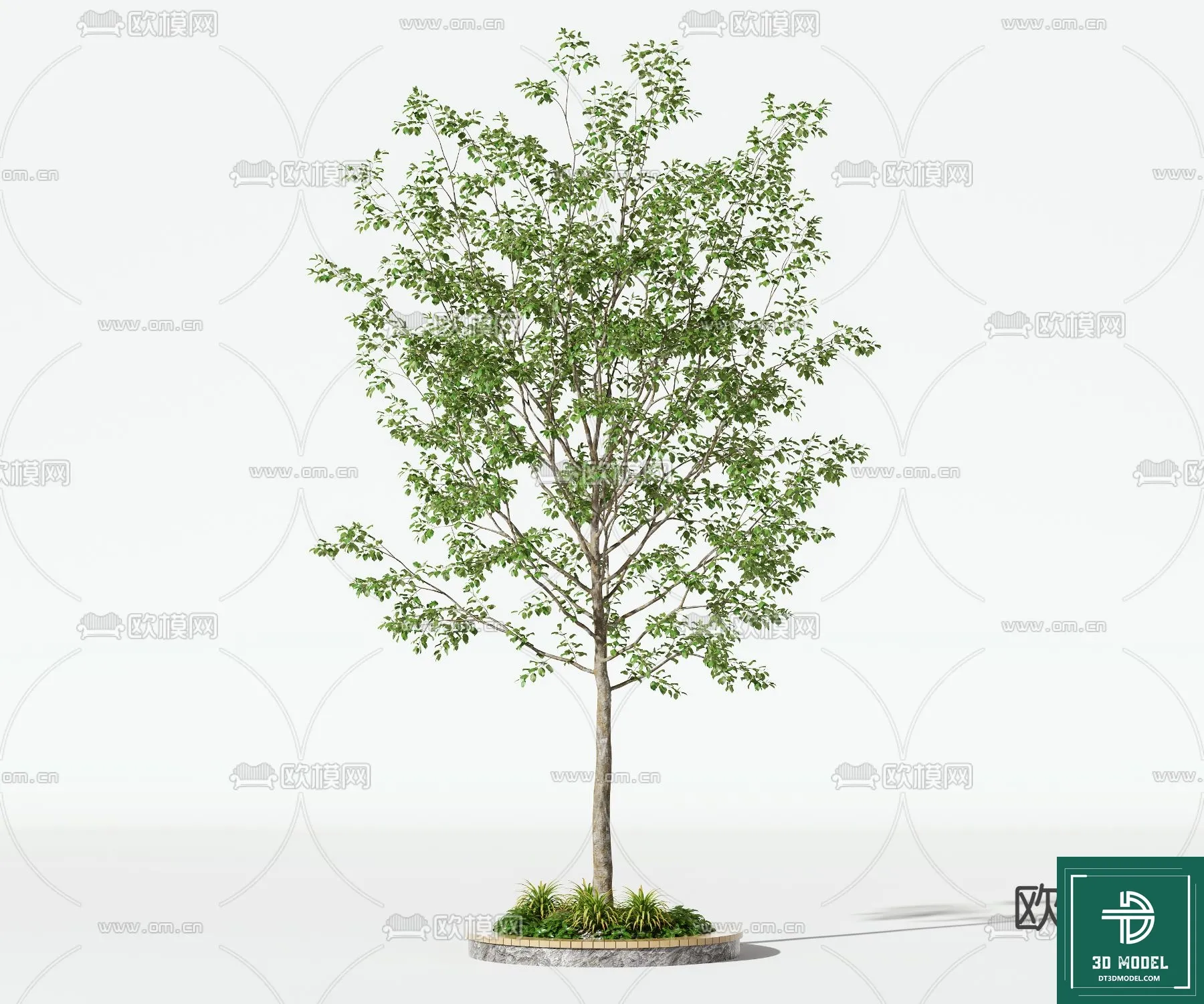 Tree 3D Models – Exterior and Architecture 3DS Max – 218