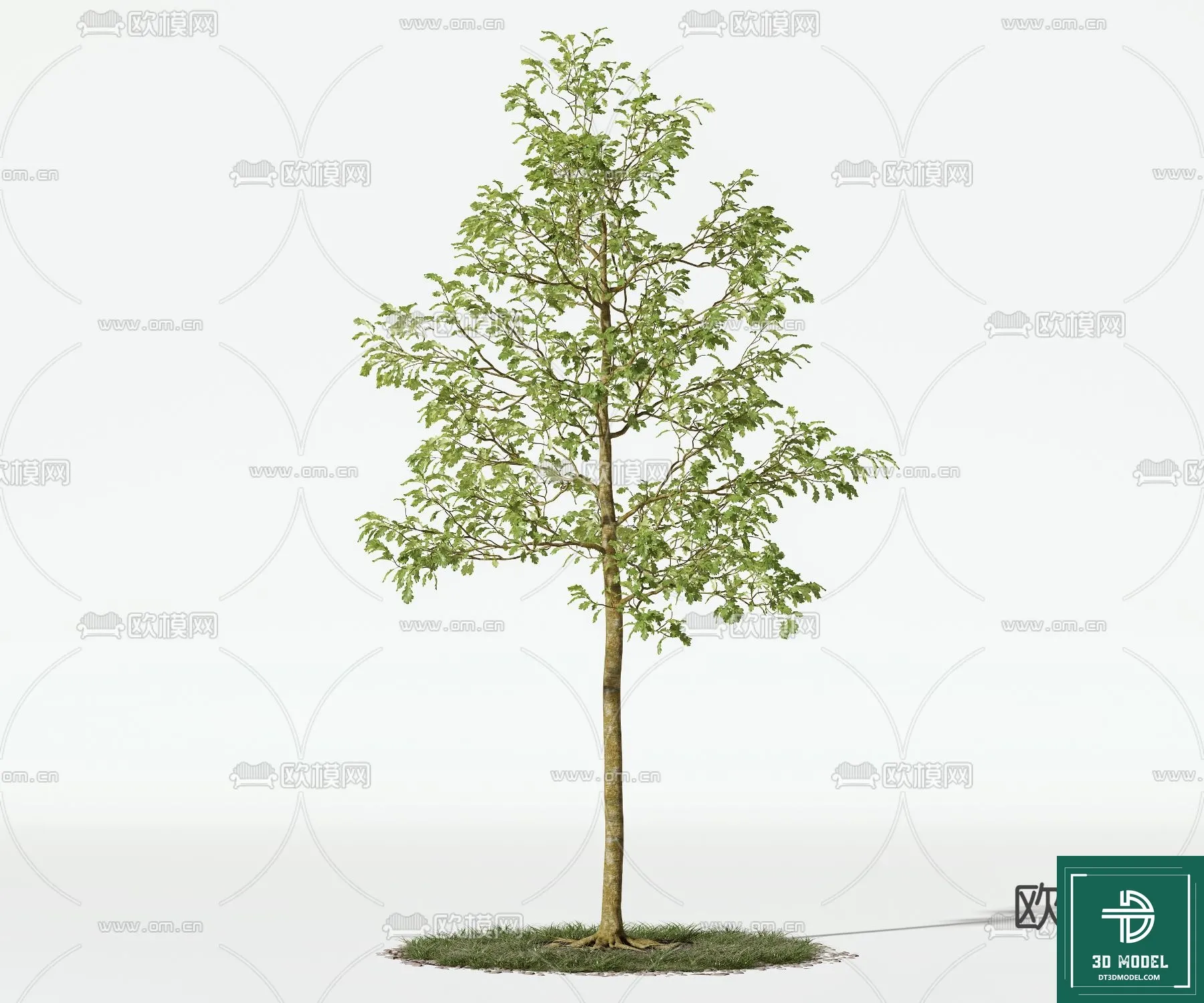 Tree 3D Models – Exterior and Architecture 3DS Max – 224