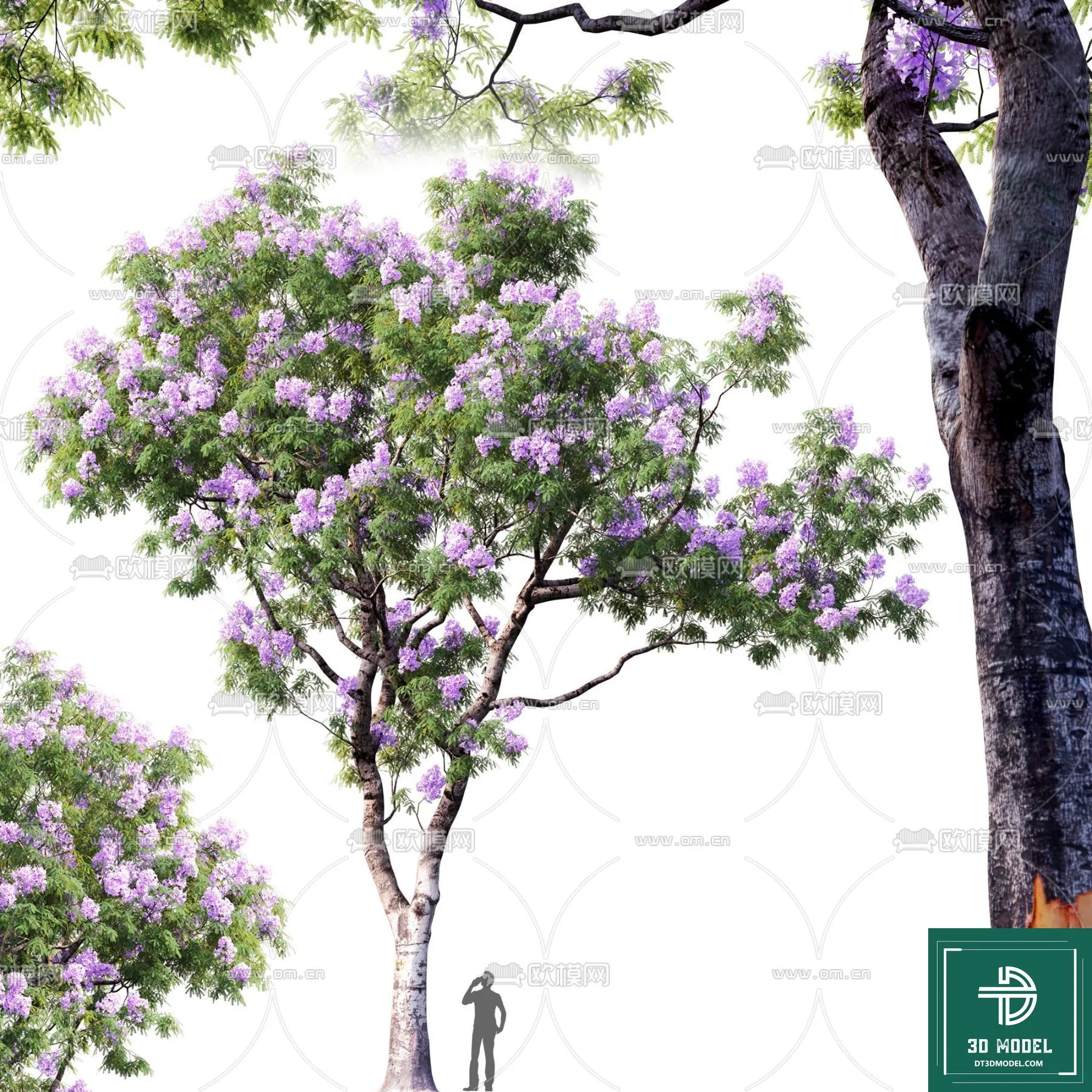 Tree 3D Models – Exterior and Architecture 3DS Max – 231