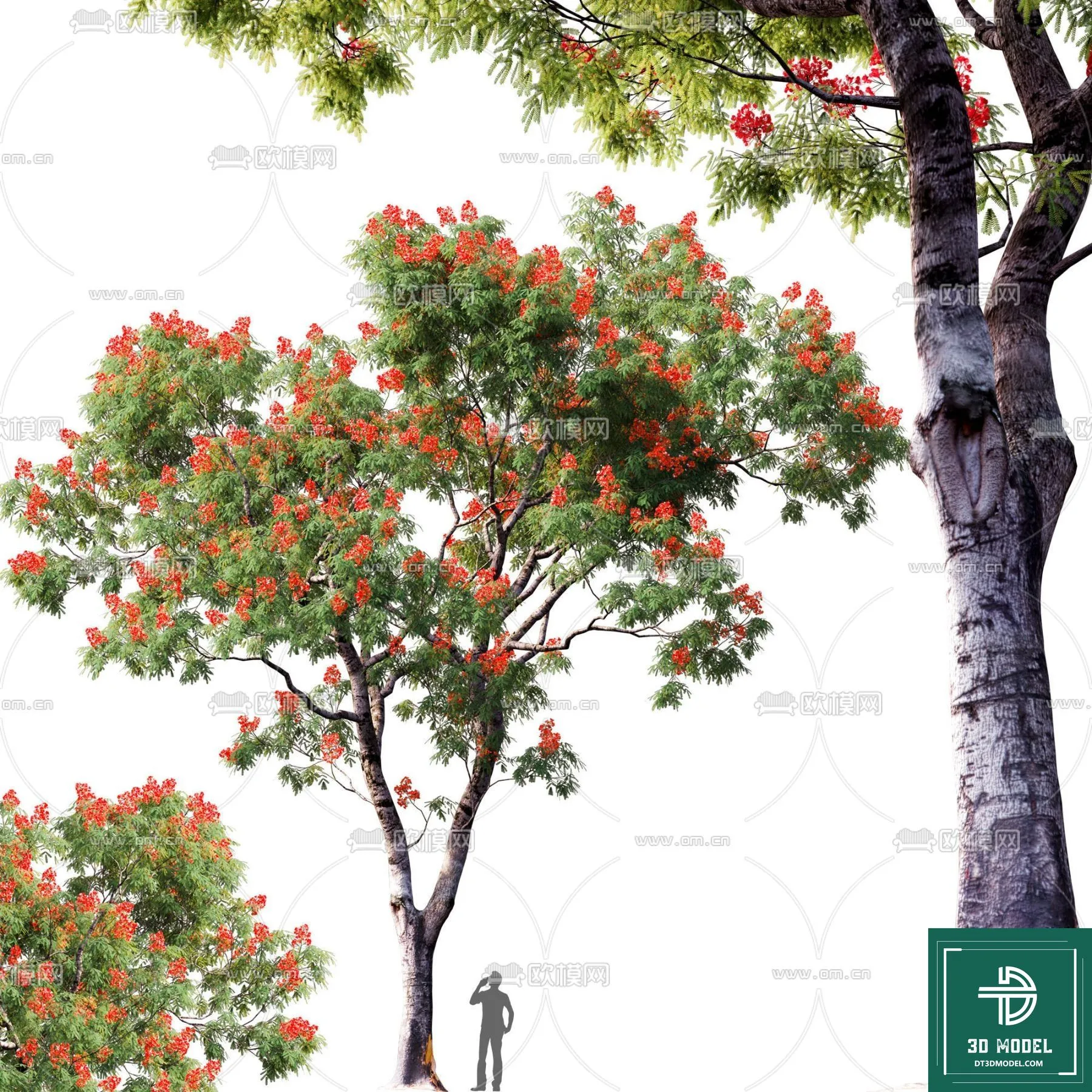 Tree 3D Models – Exterior and Architecture 3DS Max – 235