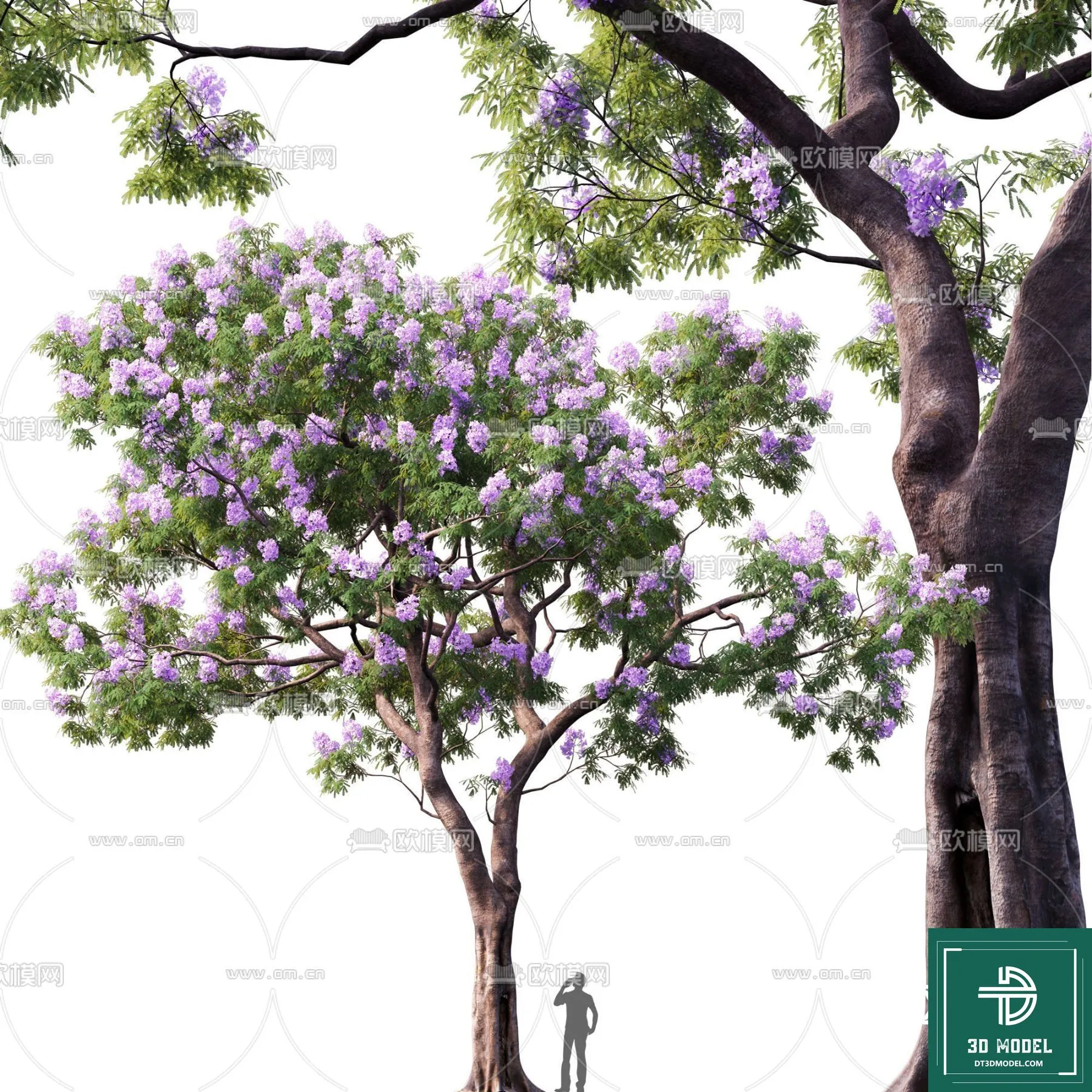 Tree 3D Models – Exterior and Architecture 3DS Max – 236