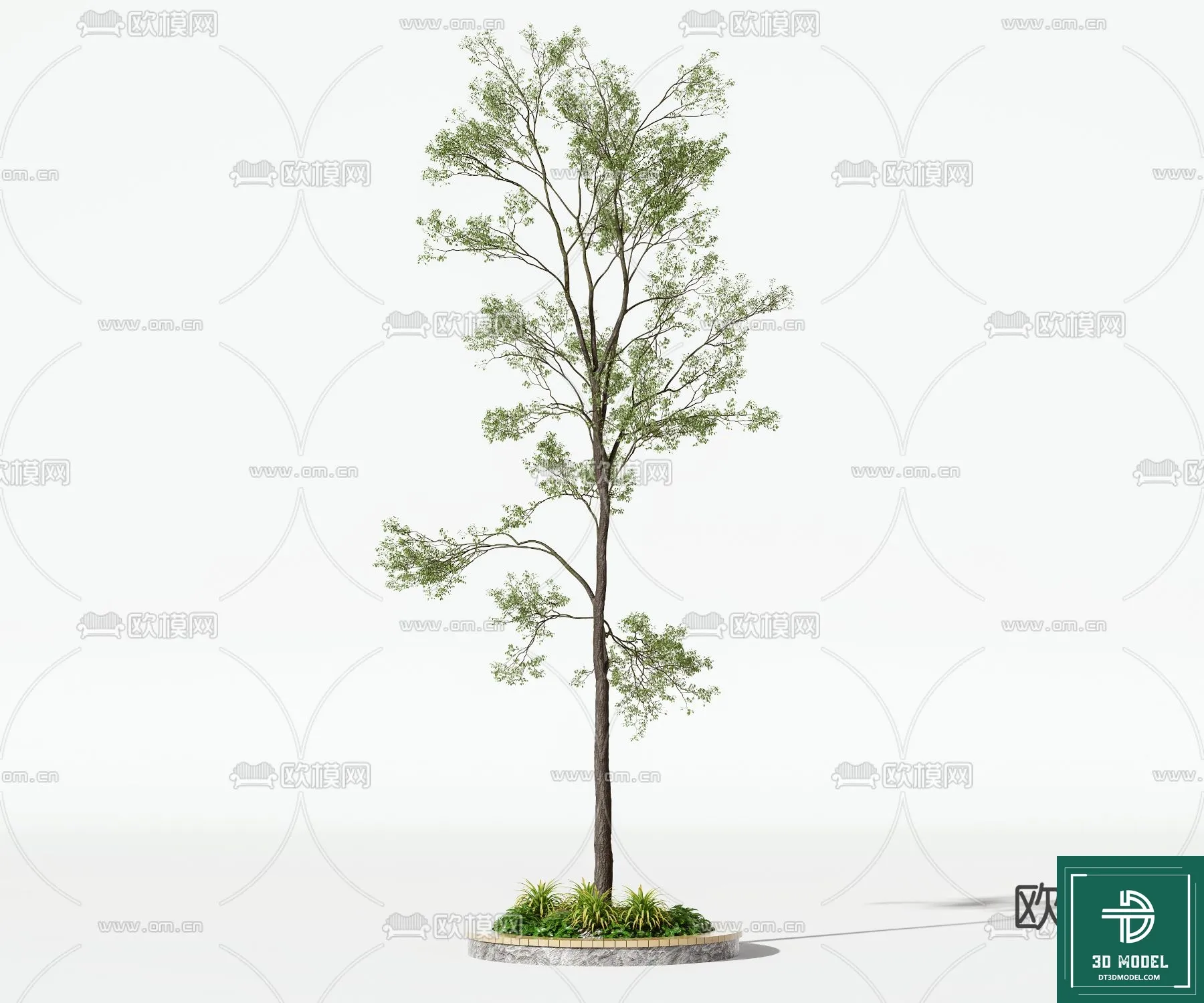 Tree 3D Models – Exterior and Architecture 3DS Max – 239