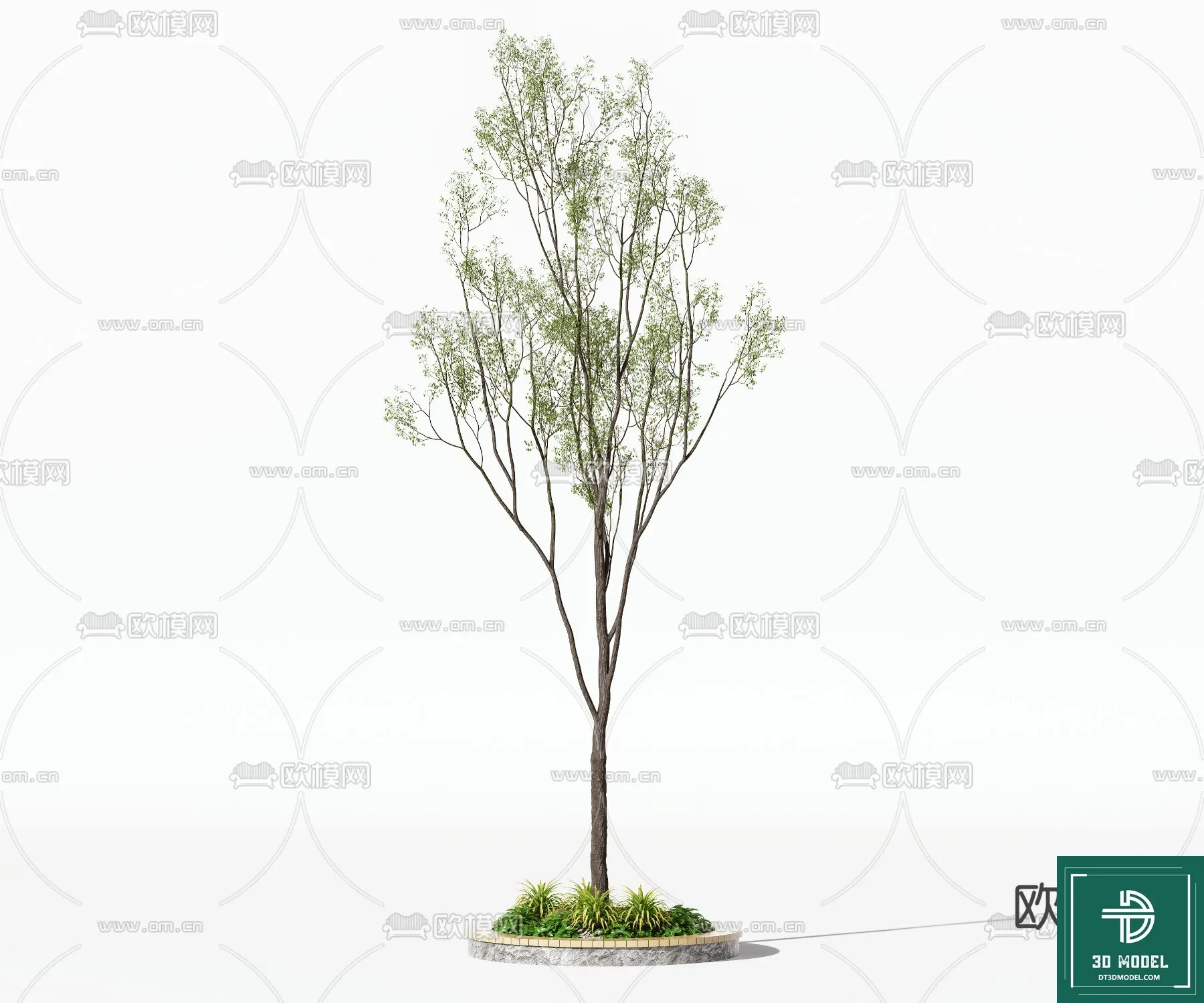 Tree 3D Models – Exterior and Architecture 3DS Max – 240