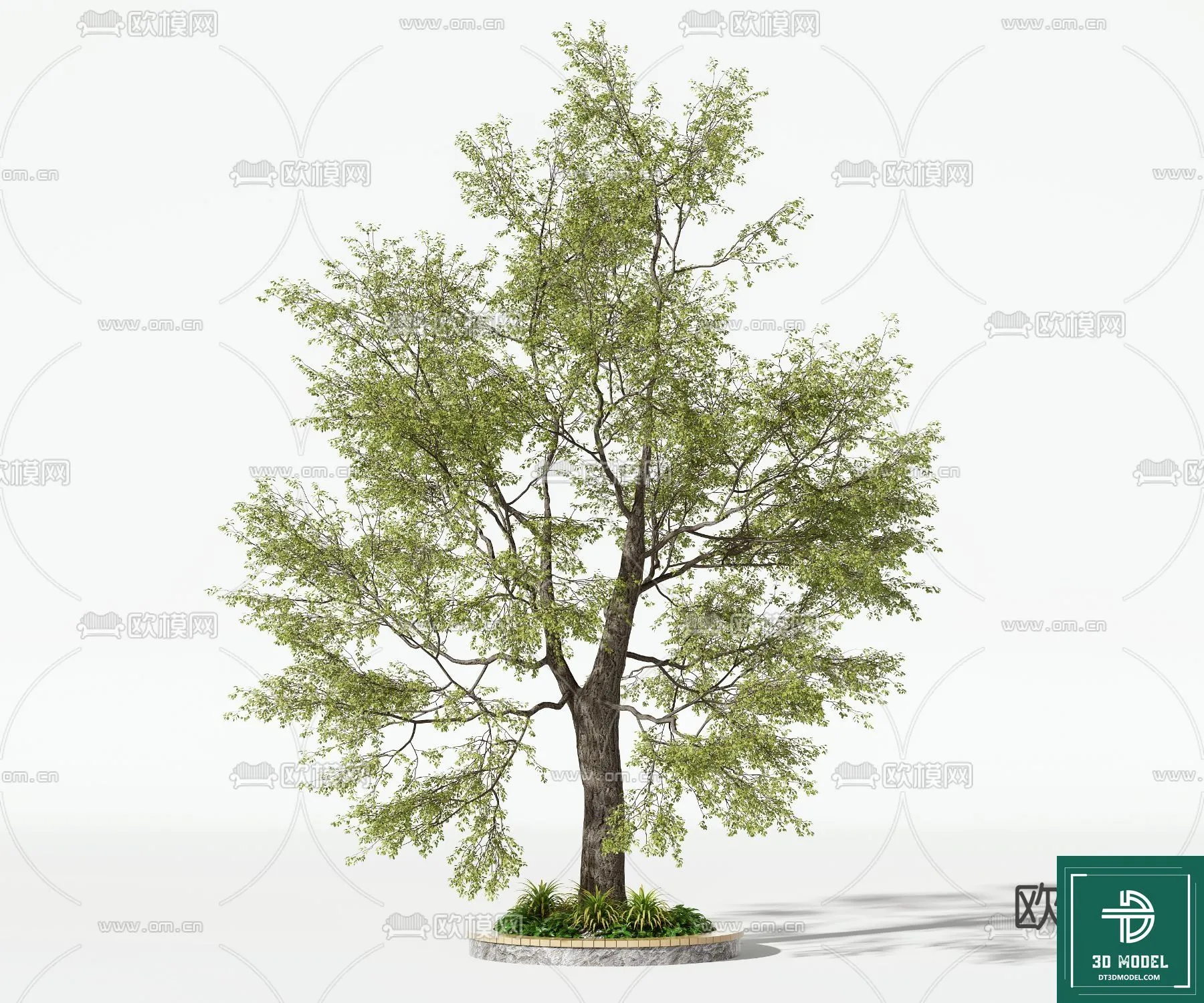 Tree 3D Models – Exterior and Architecture 3DS Max – 242