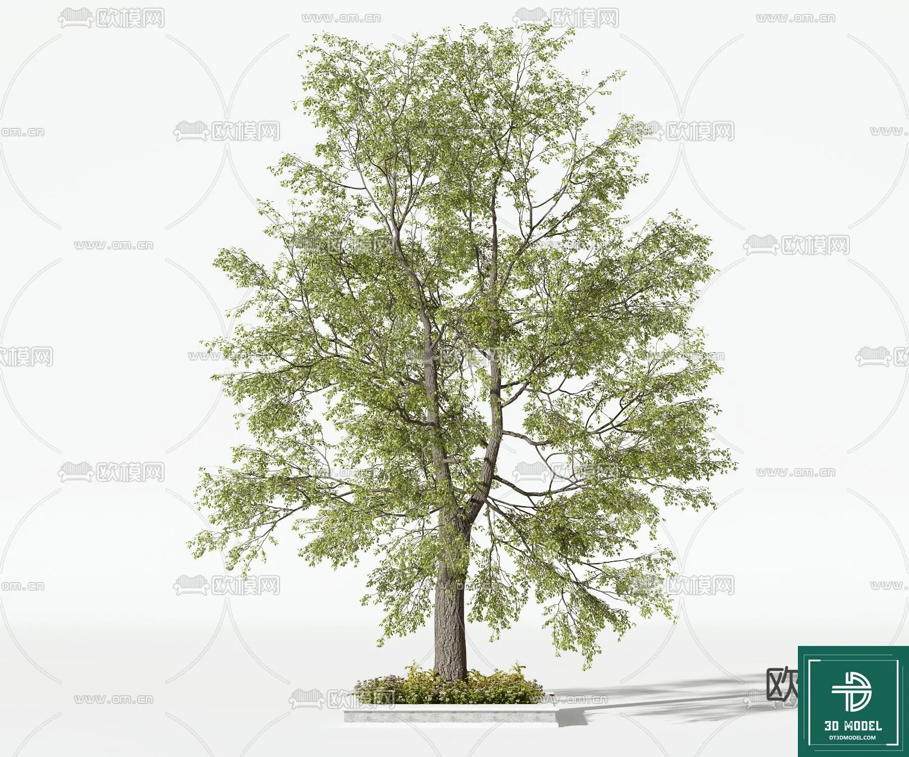 Tree 3D Models – Exterior and Architecture 3DS Max – 243