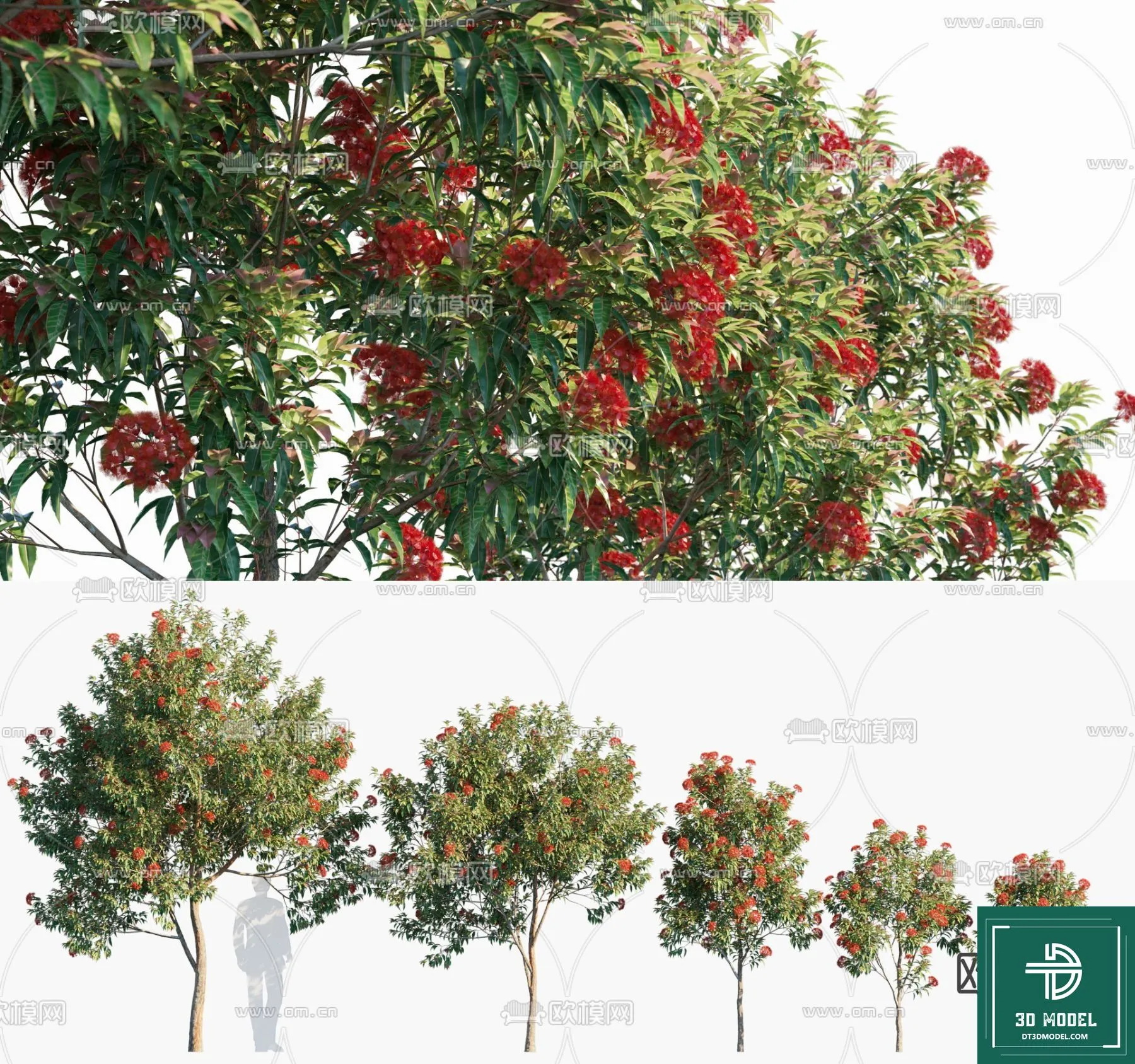 Tree 3D Models – Exterior and Architecture 3DS Max – 247