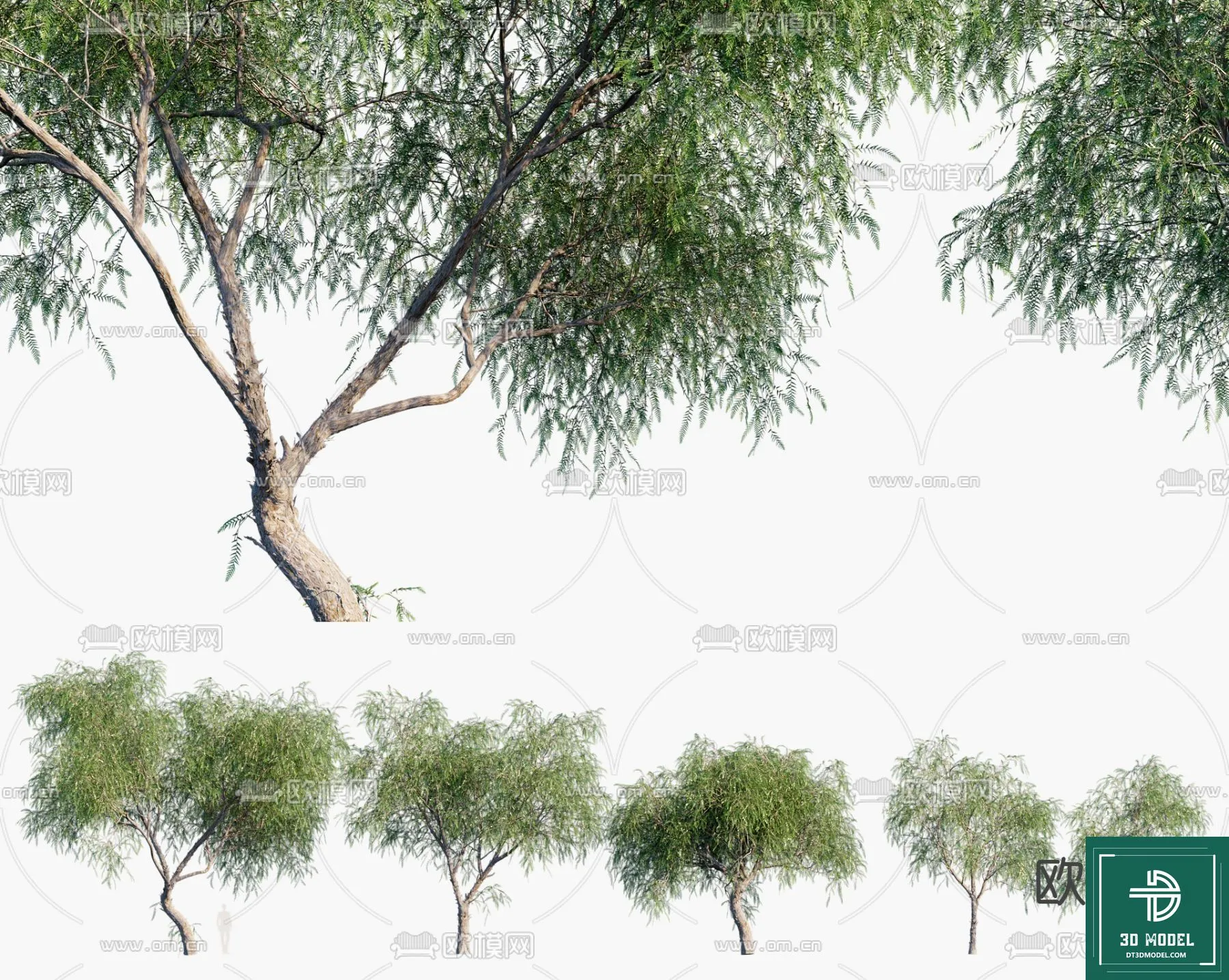 Tree 3D Models – Exterior and Architecture 3DS Max – 248