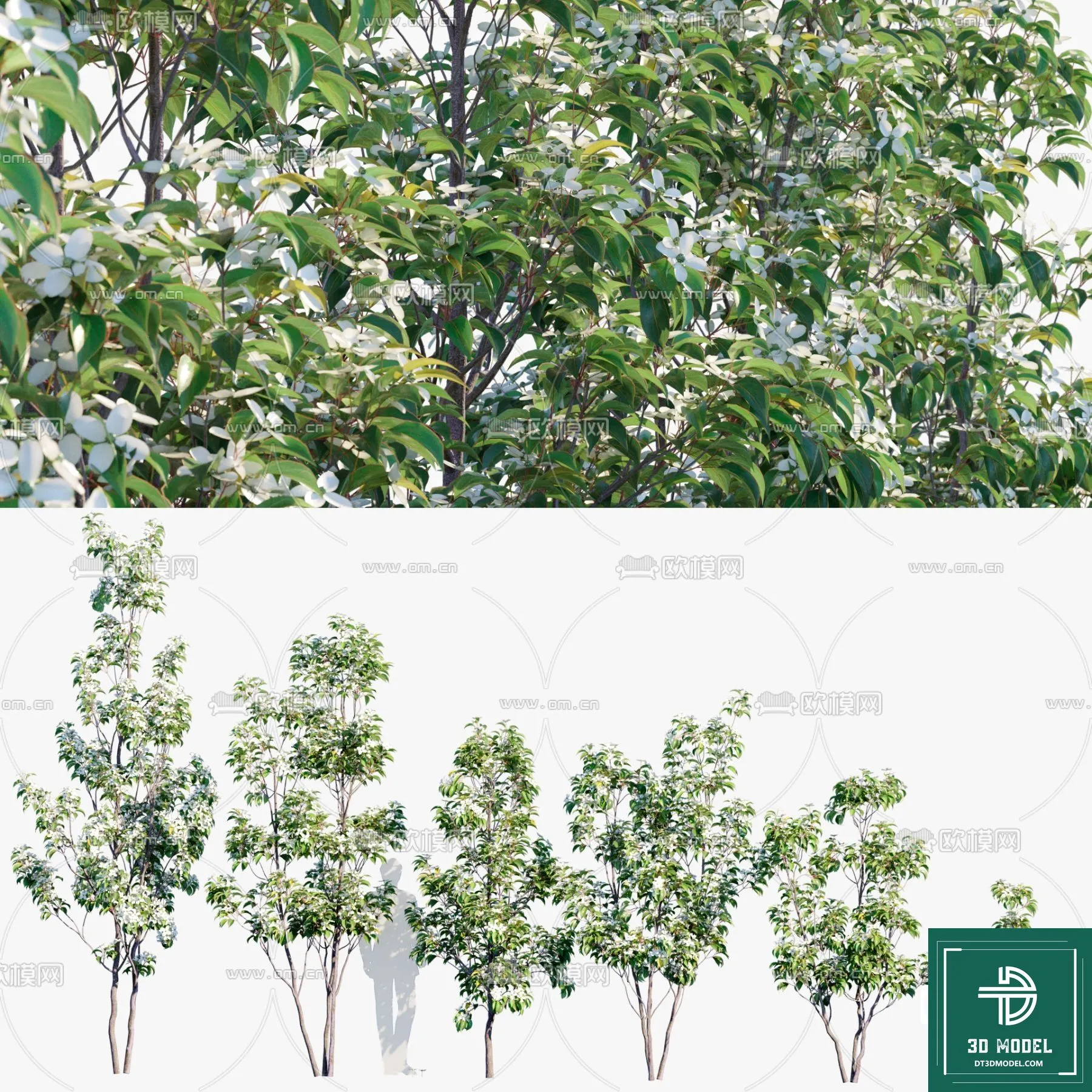 Tree 3D Models – Exterior and Architecture 3DS Max – 251