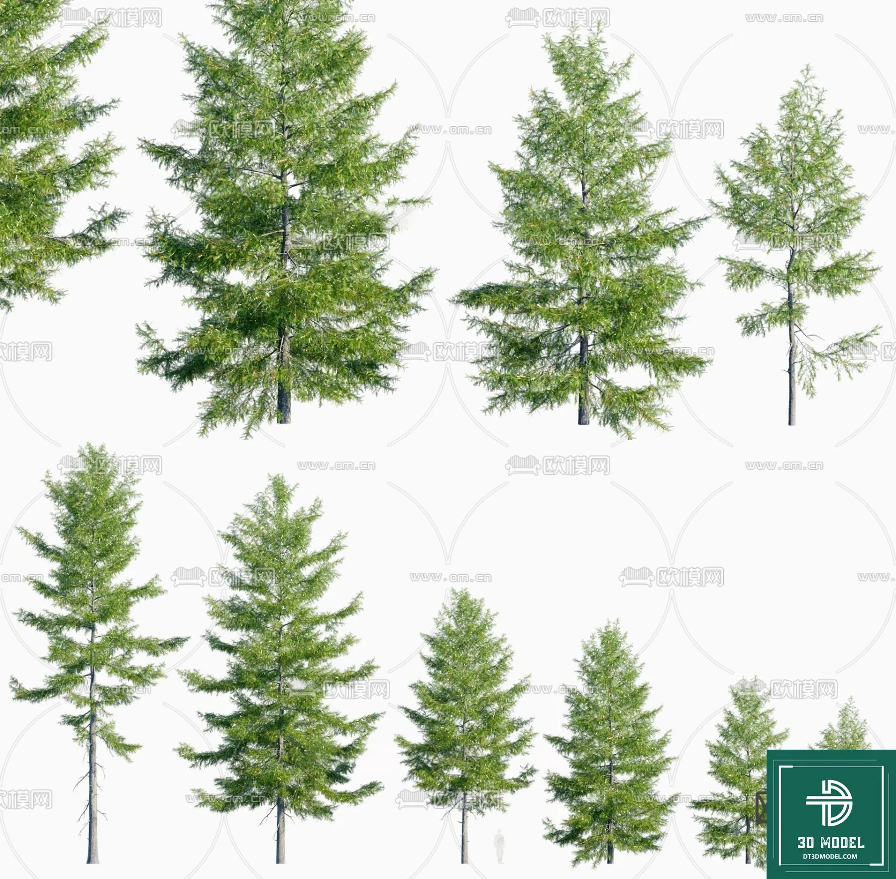 Tree 3D Models – Exterior and Architecture 3DS Max – 254