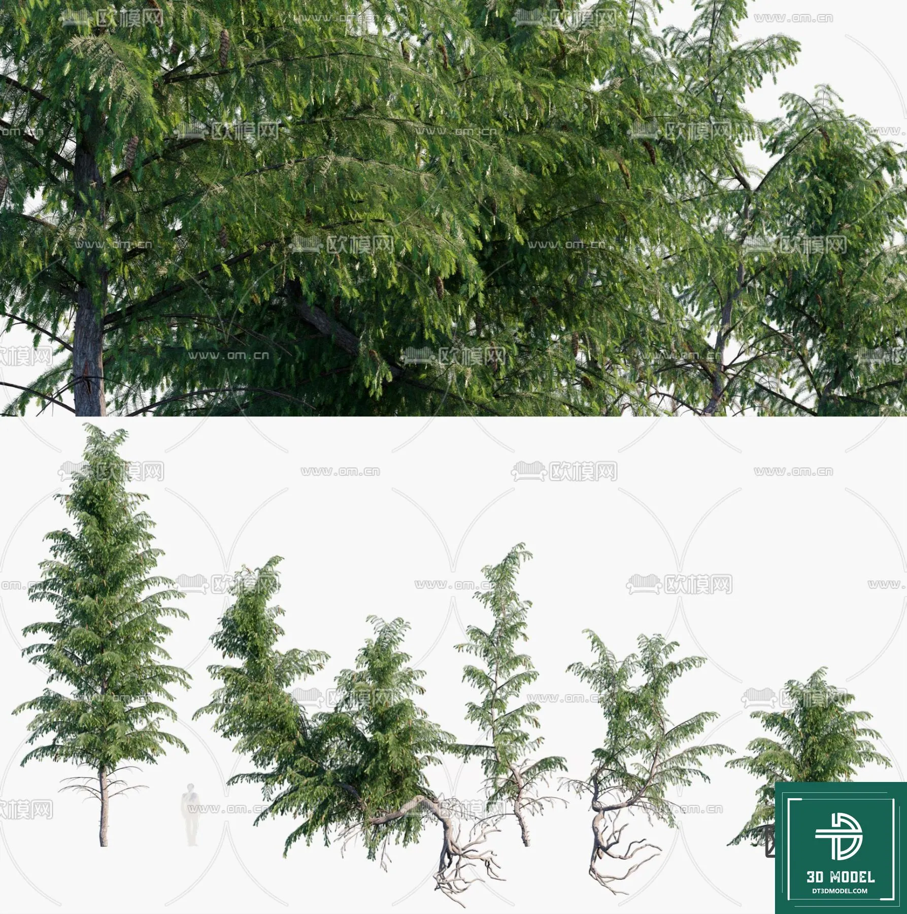 Tree 3D Models – Exterior and Architecture 3DS Max – 257