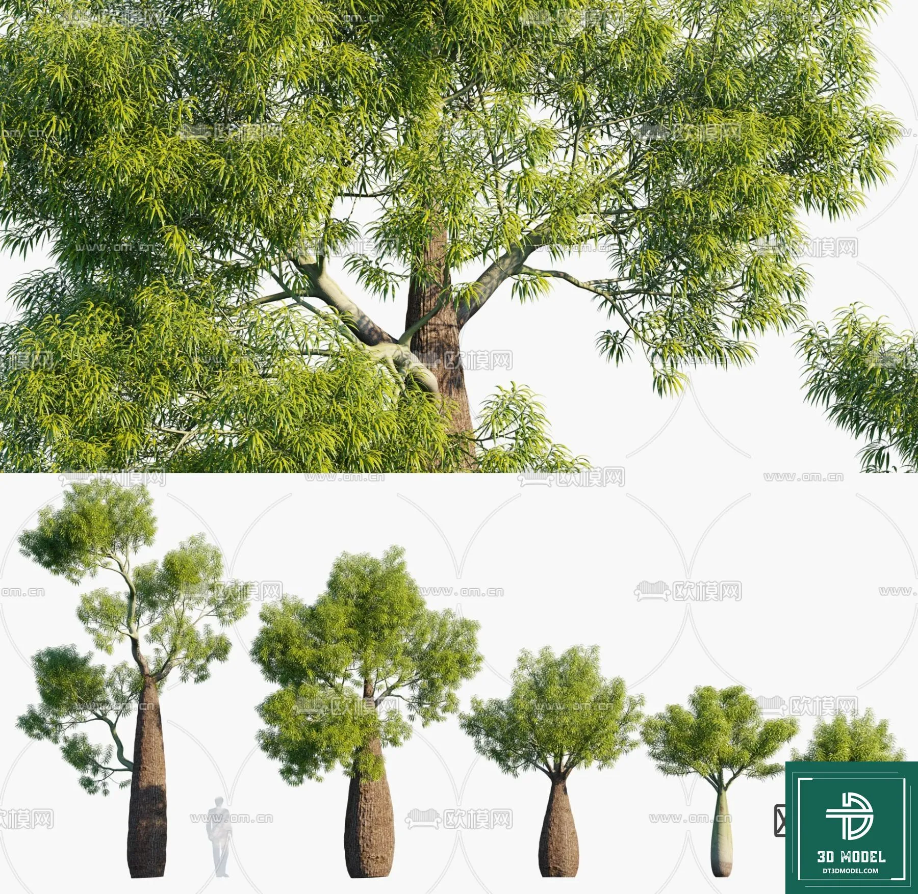 Tree 3D Models – Exterior and Architecture 3DS Max – 260