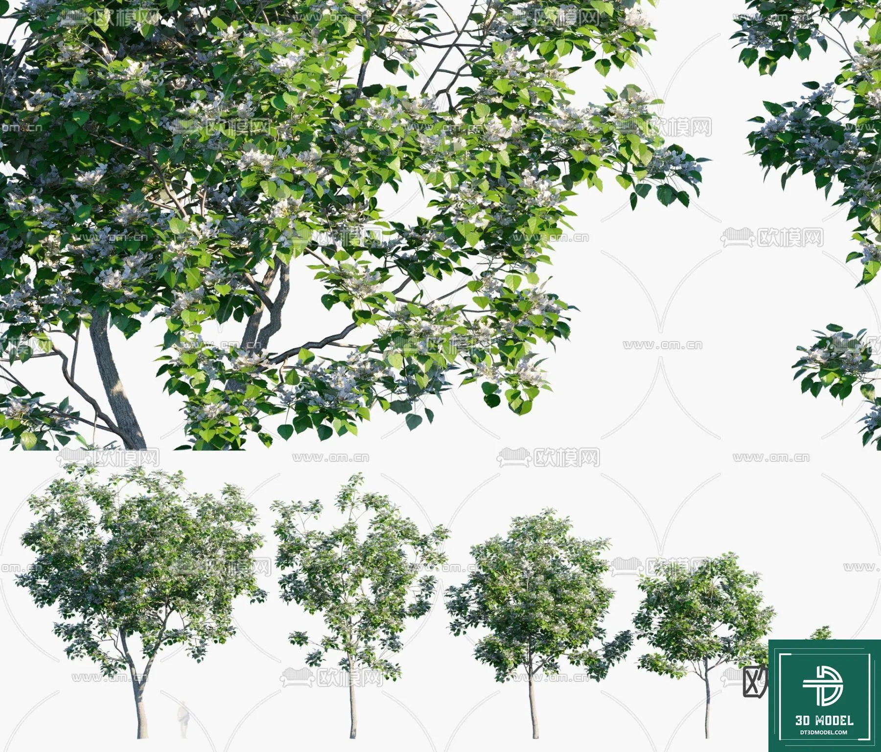 Tree 3D Models – Exterior and Architecture 3DS Max – 265