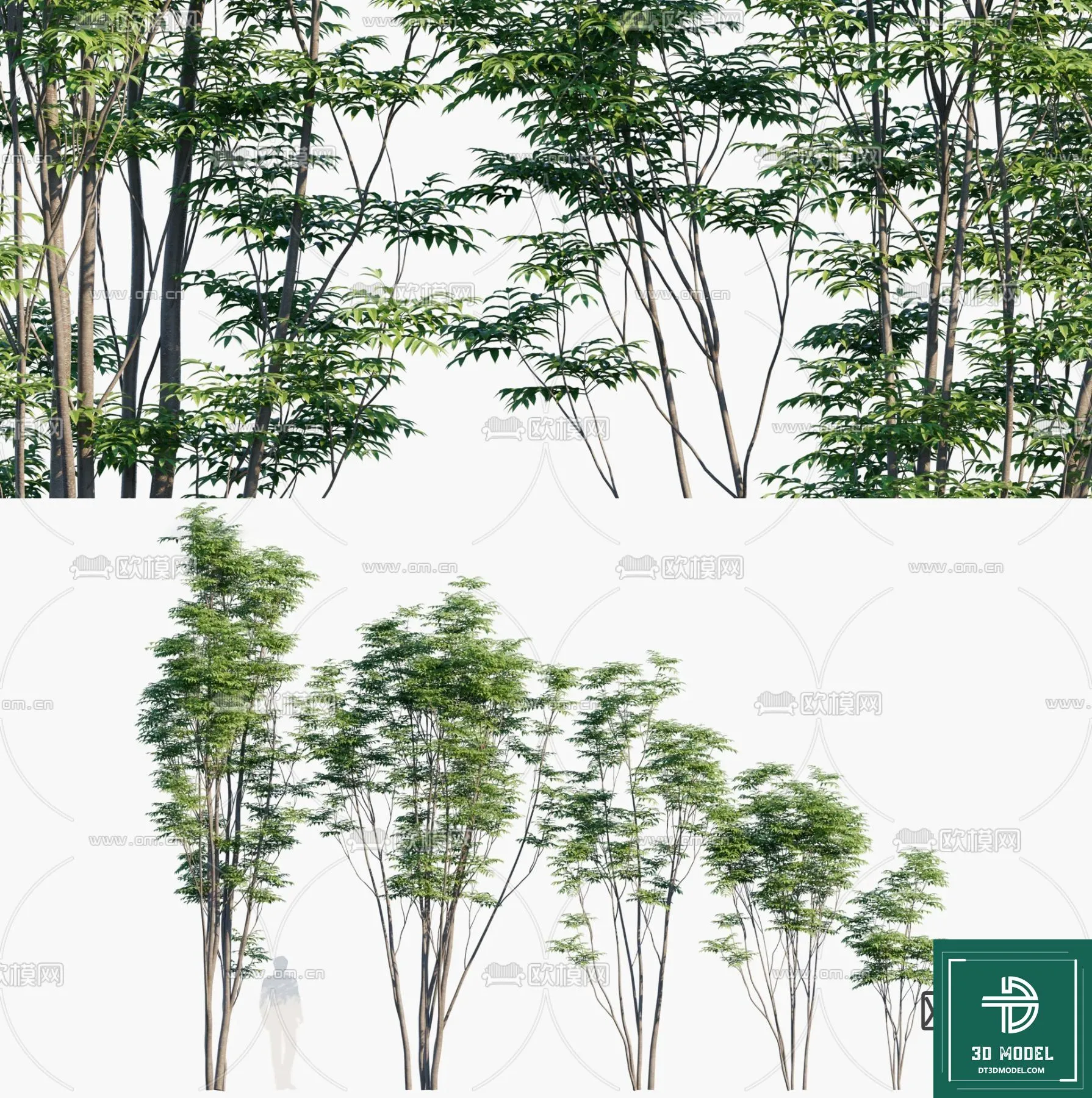 Tree 3D Models – Exterior and Architecture 3DS Max – 268