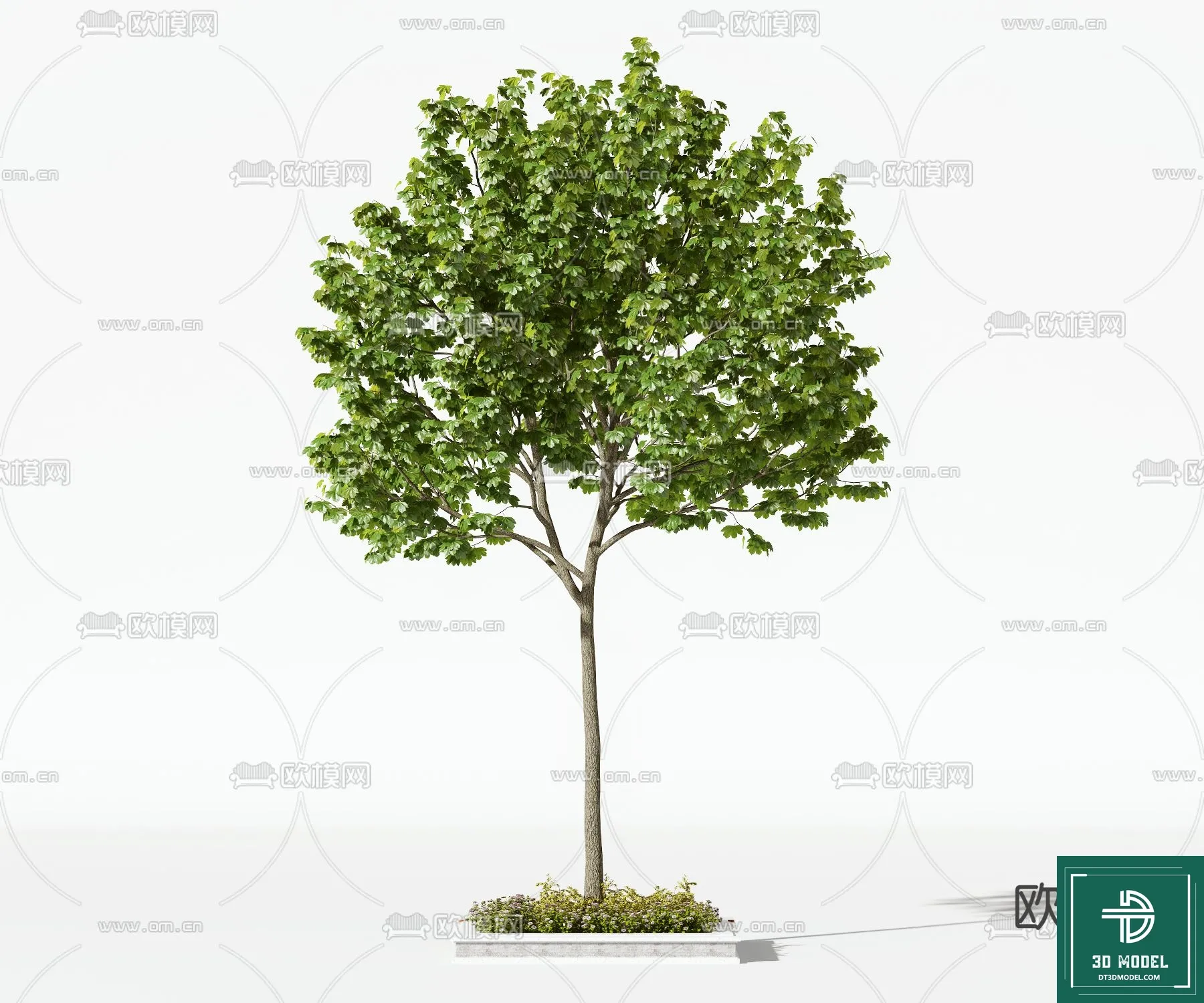 Tree 3D Models – Exterior and Architecture 3DS Max – 270