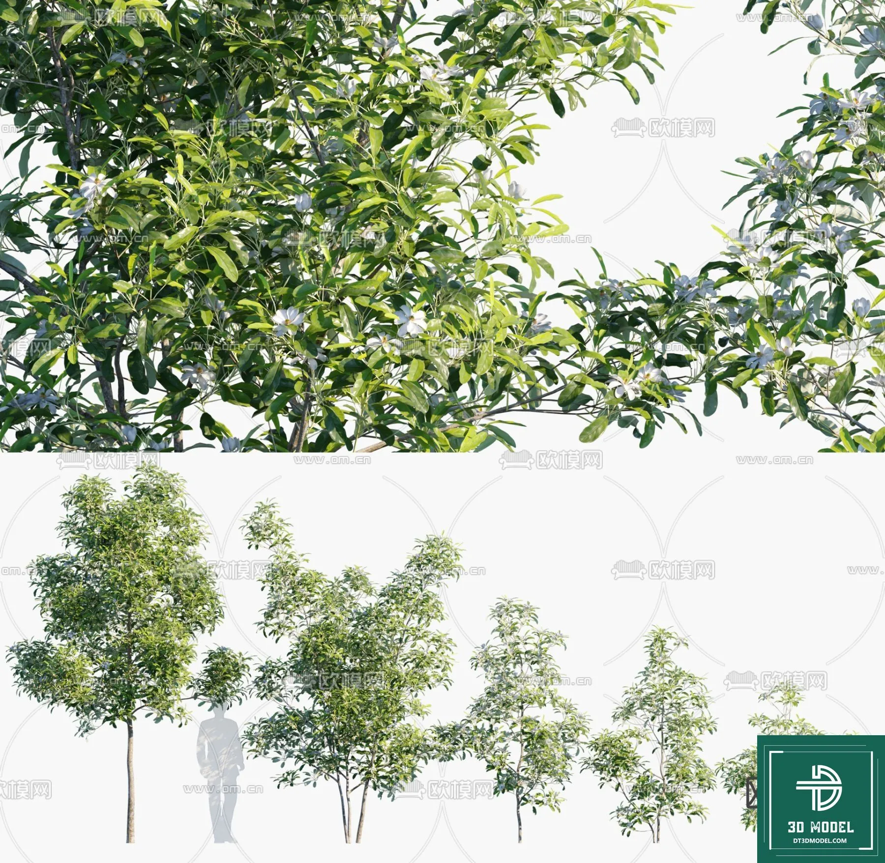 Tree 3D Models – Exterior and Architecture 3DS Max – 271