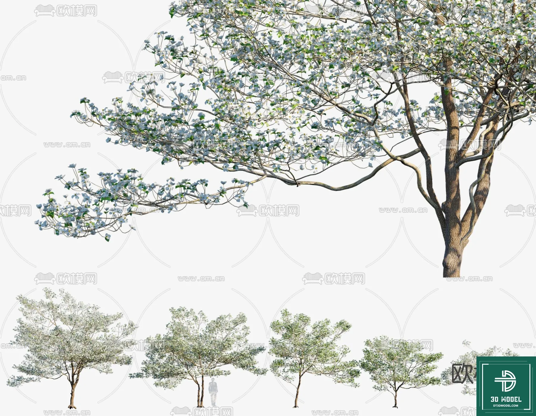 Tree 3D Models – Exterior and Architecture 3DS Max – 273