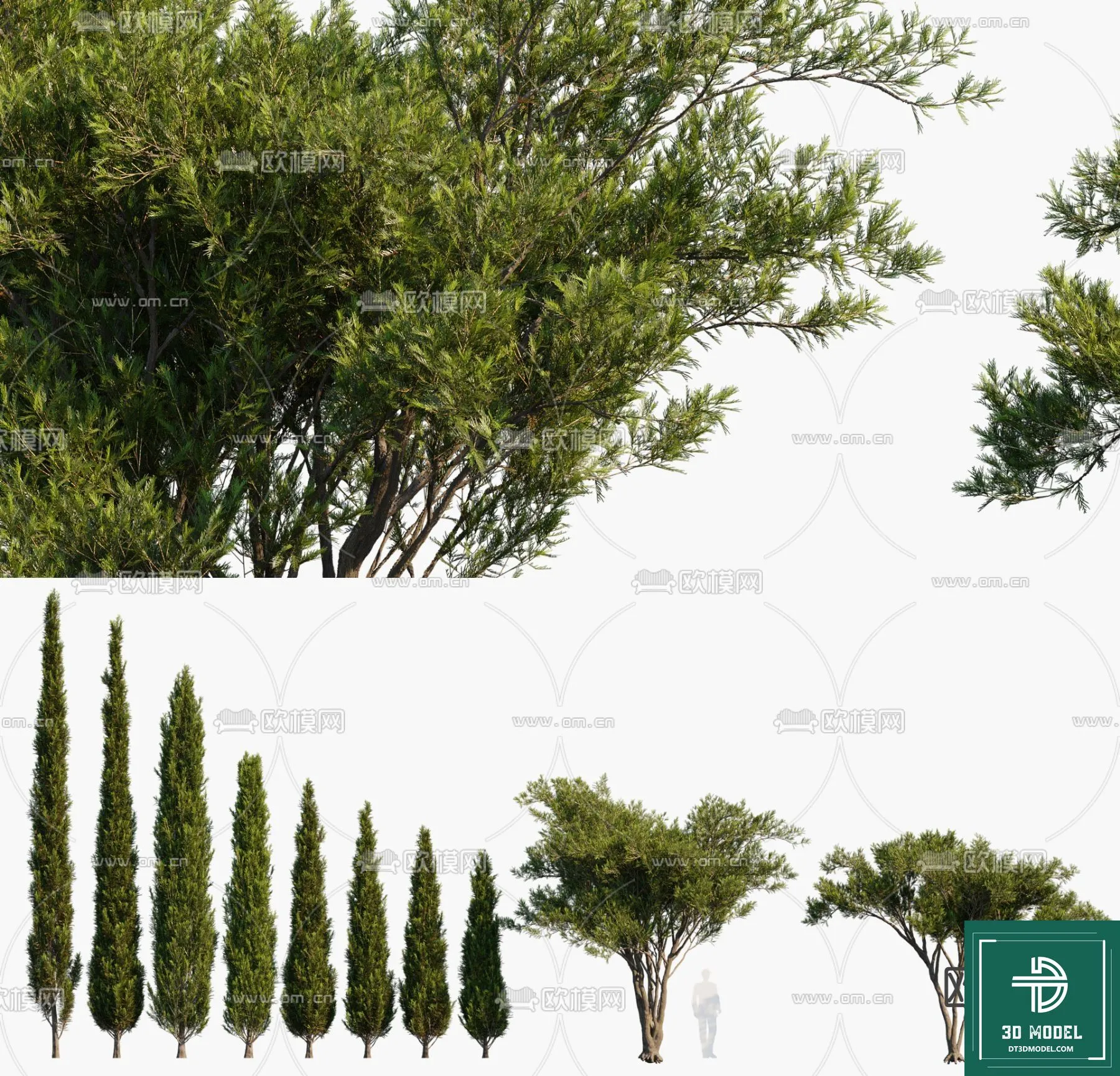 Tree 3D Models – Exterior and Architecture 3DS Max – 280