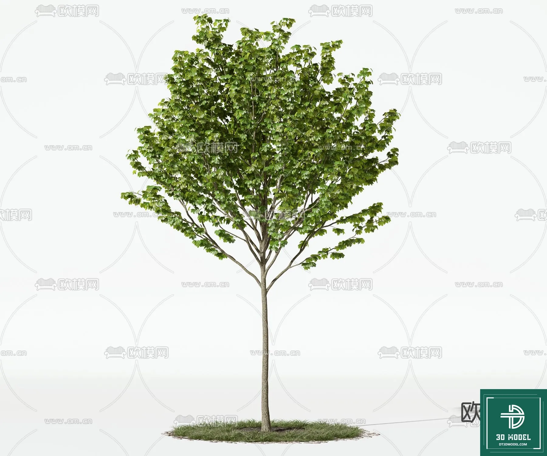 Tree 3D Models – Exterior and Architecture 3DS Max – 281