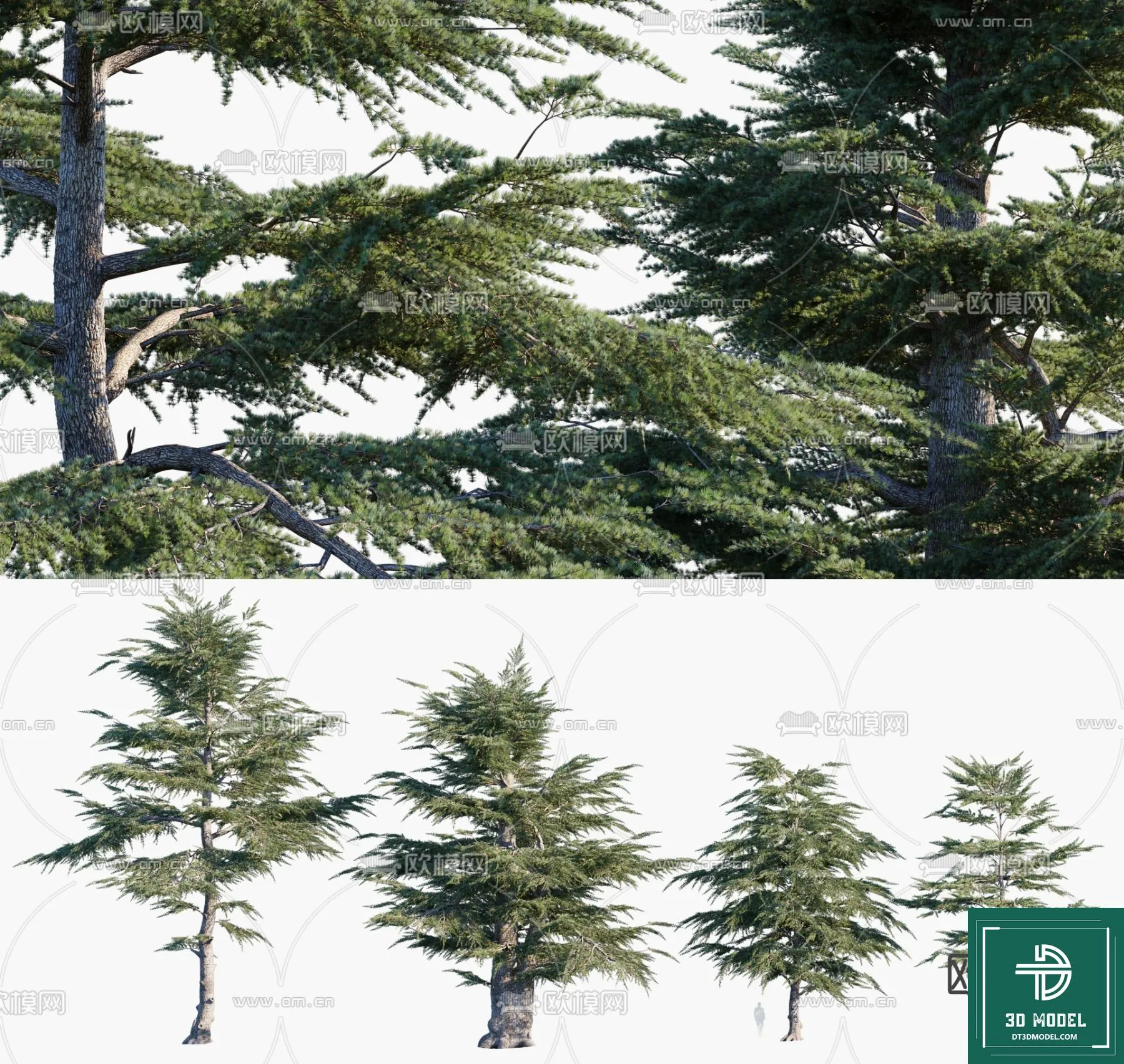 Tree 3D Models – Exterior and Architecture 3DS Max – 282