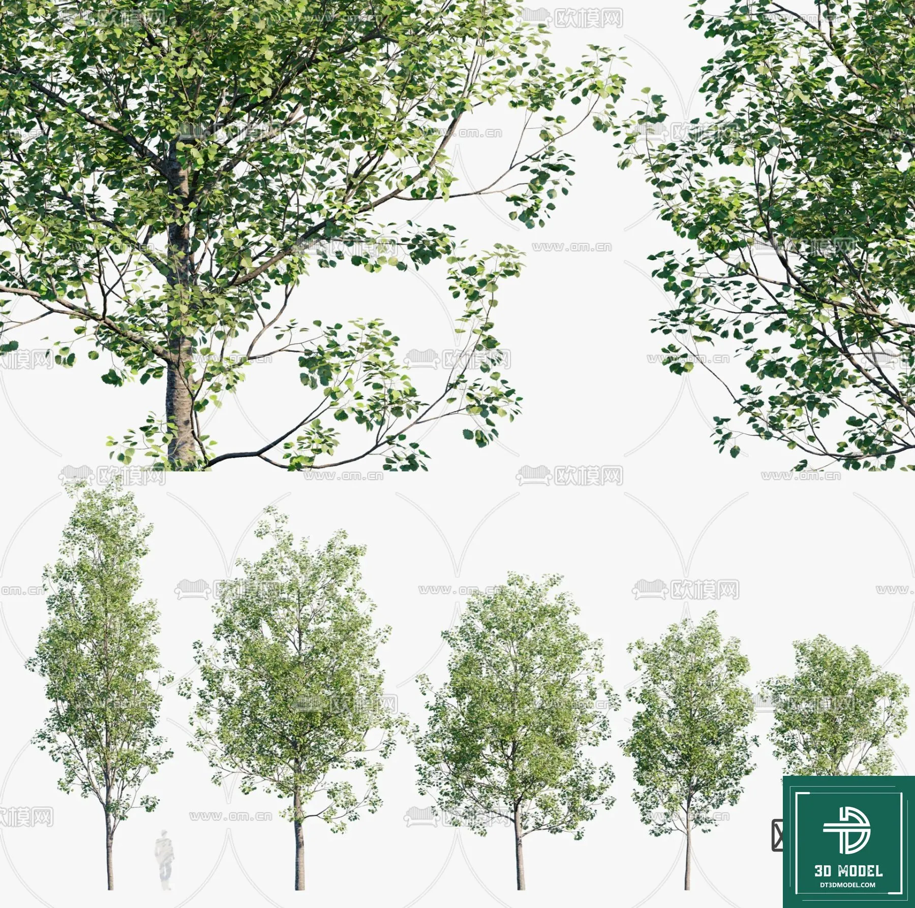 Tree 3D Models – Exterior and Architecture 3DS Max – 283