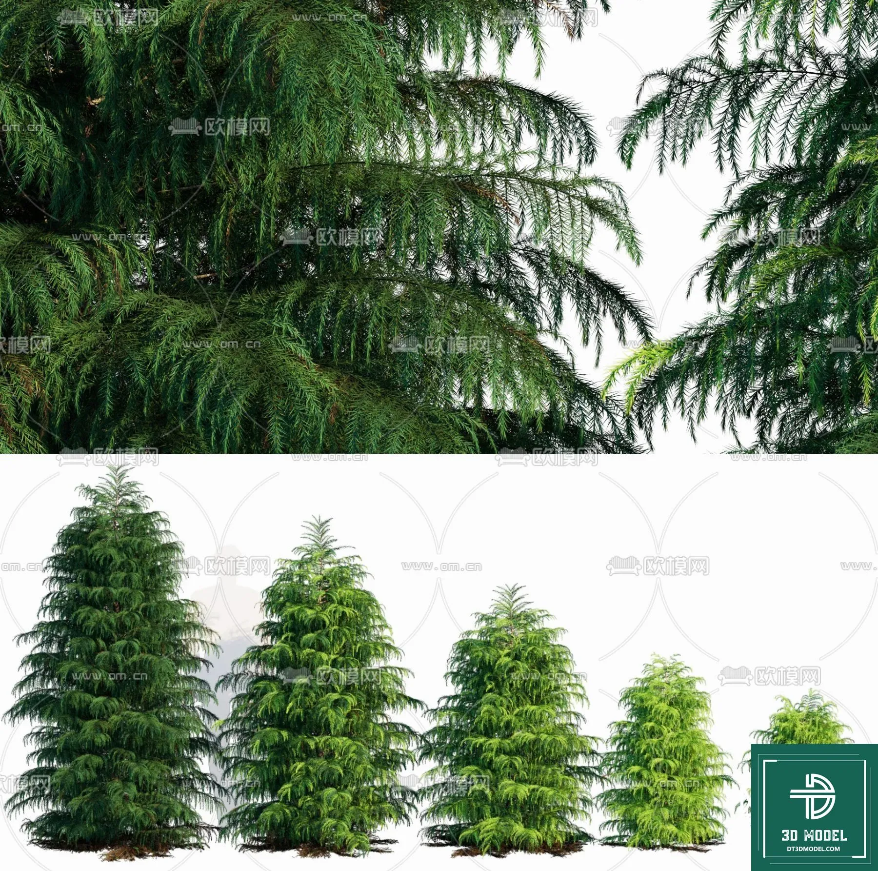 Tree 3D Models – Exterior and Architecture 3DS Max – 286