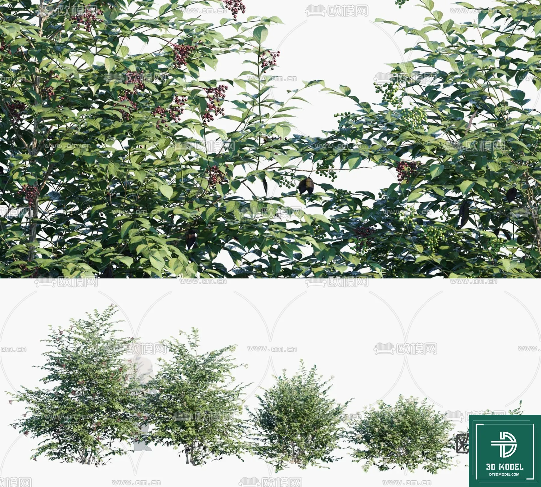 Tree 3D Models – Exterior and Architecture 3DS Max – 287