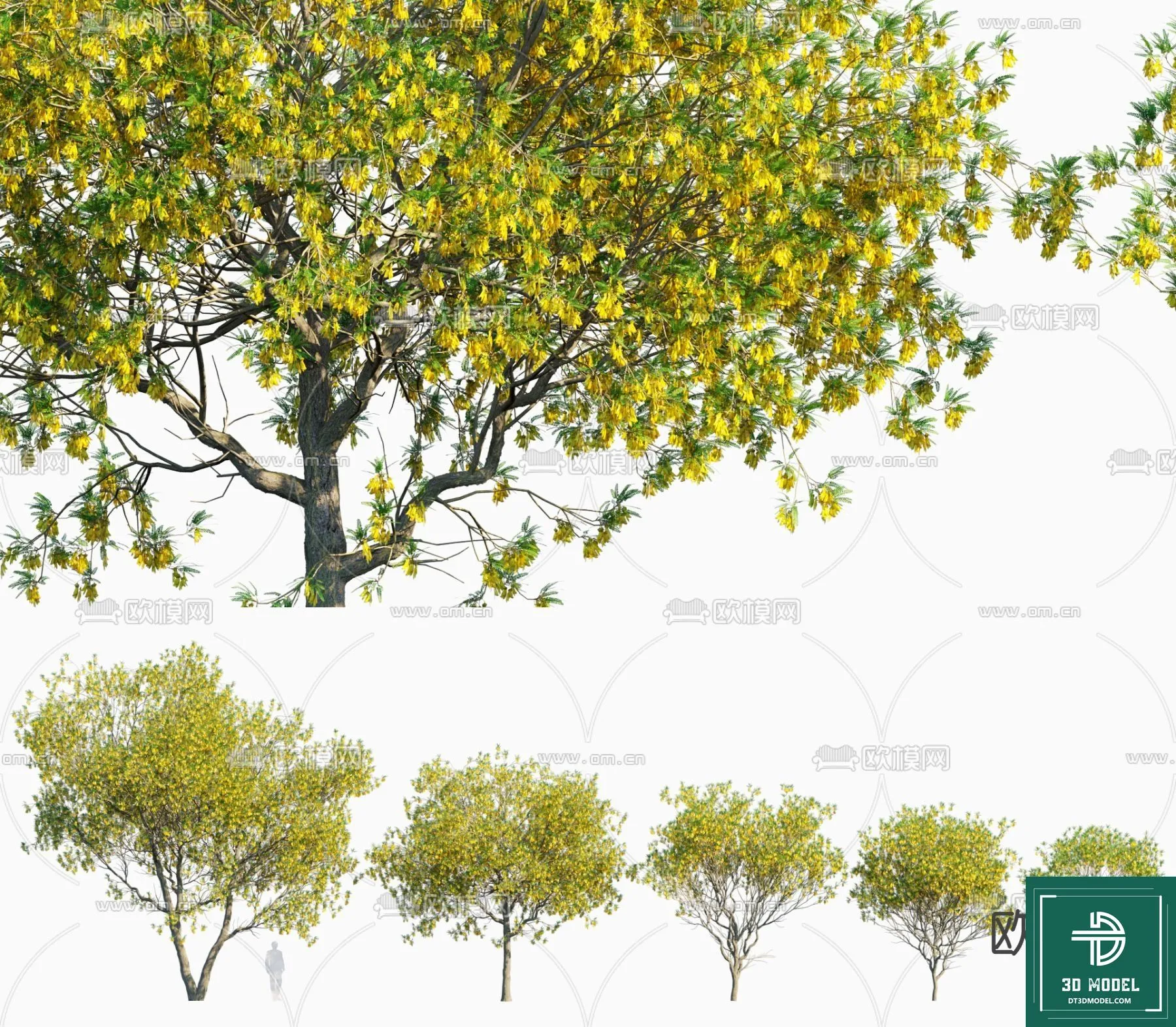 Tree 3D Models – Exterior and Architecture 3DS Max – 292