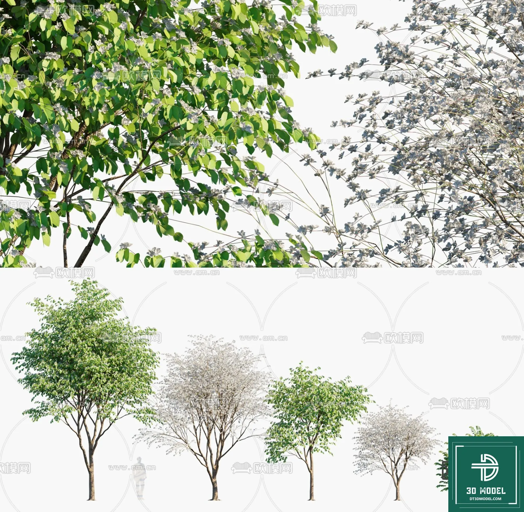 Tree 3D Models – Exterior and Architecture 3DS Max – 293