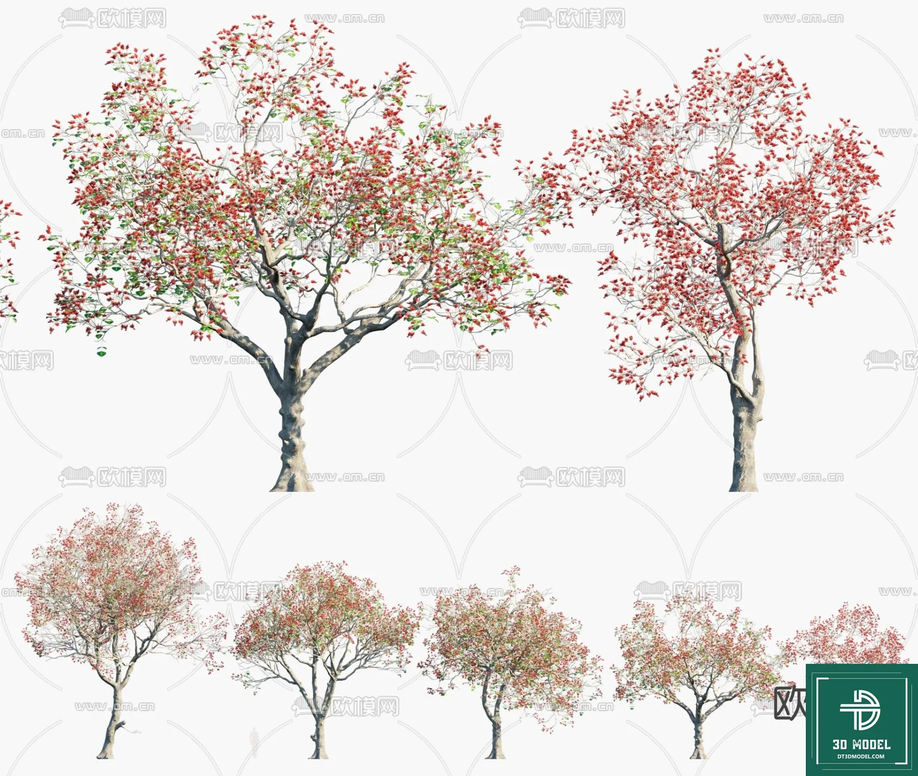 Tree 3D Models – Exterior and Architecture 3DS Max – 294