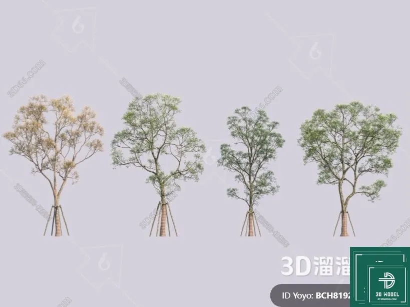 Tree 3D Models – Exterior and Architecture 3DS Max – 301