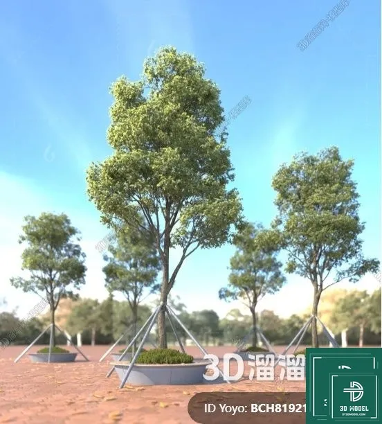 Tree 3D Models – Exterior and Architecture 3DS Max – 303