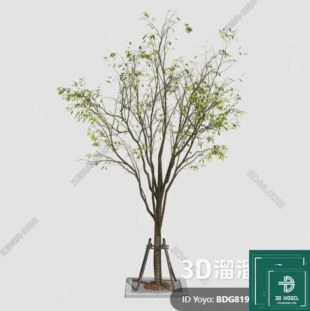 Tree 3D Models – Exterior and Architecture 3DS Max – 305