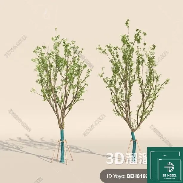 Tree 3D Models – Exterior and Architecture 3DS Max – 307