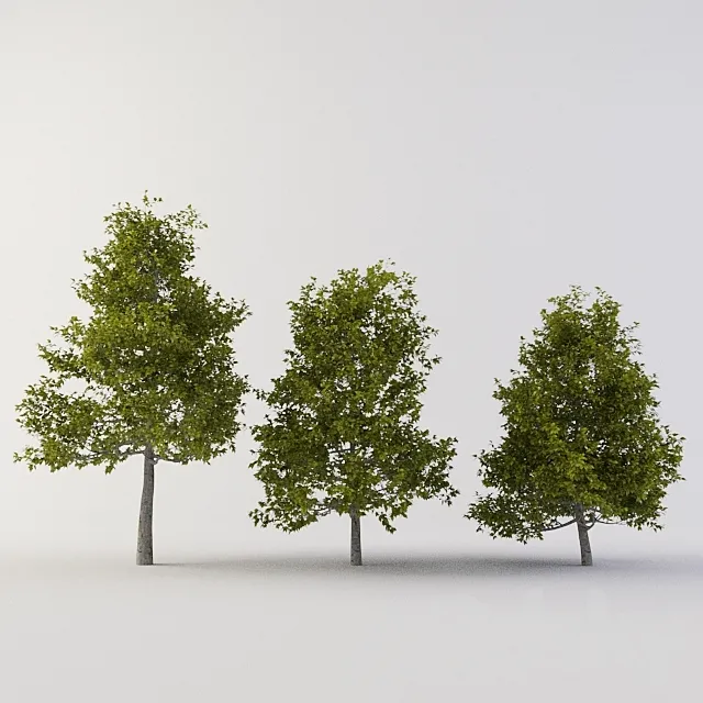 Tree 3ds Max