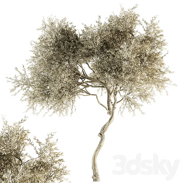 Tree Broadleaf Dried – Set 30 3ds Max