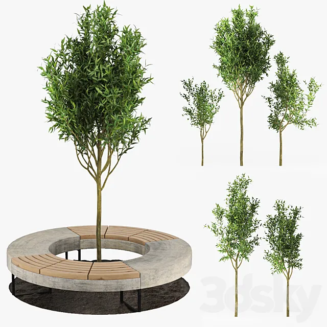 Tree Flowerbed 3DS Max Model