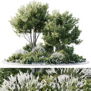 Tree for Exterior 3D Models – 005