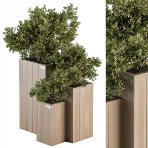Tree for Exterior 3D Models – 014