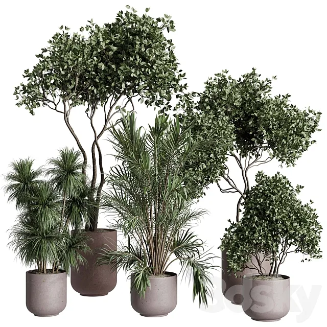 Tree in a concrete pot – indoor plant 569 3ds Max